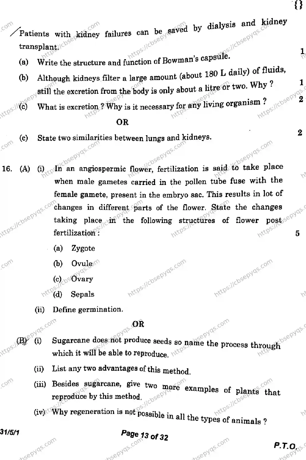 CBSE-Board-10-Previous-Year-Finals-Papers-2026-SCIENCE-KLNM-SET-A-Page-13 Image