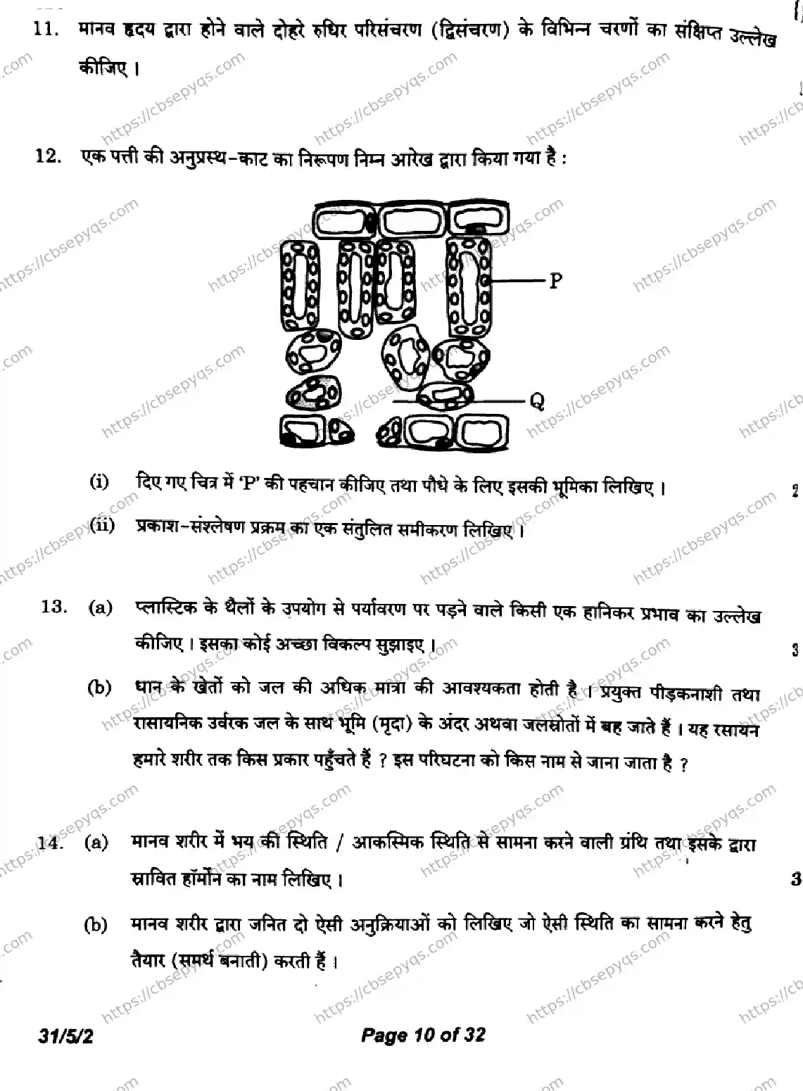 CBSE-Board-10-Previous-Year-Finals-Papers-2026-SCIENCE-KLNM-SET-B-Page-10 Image