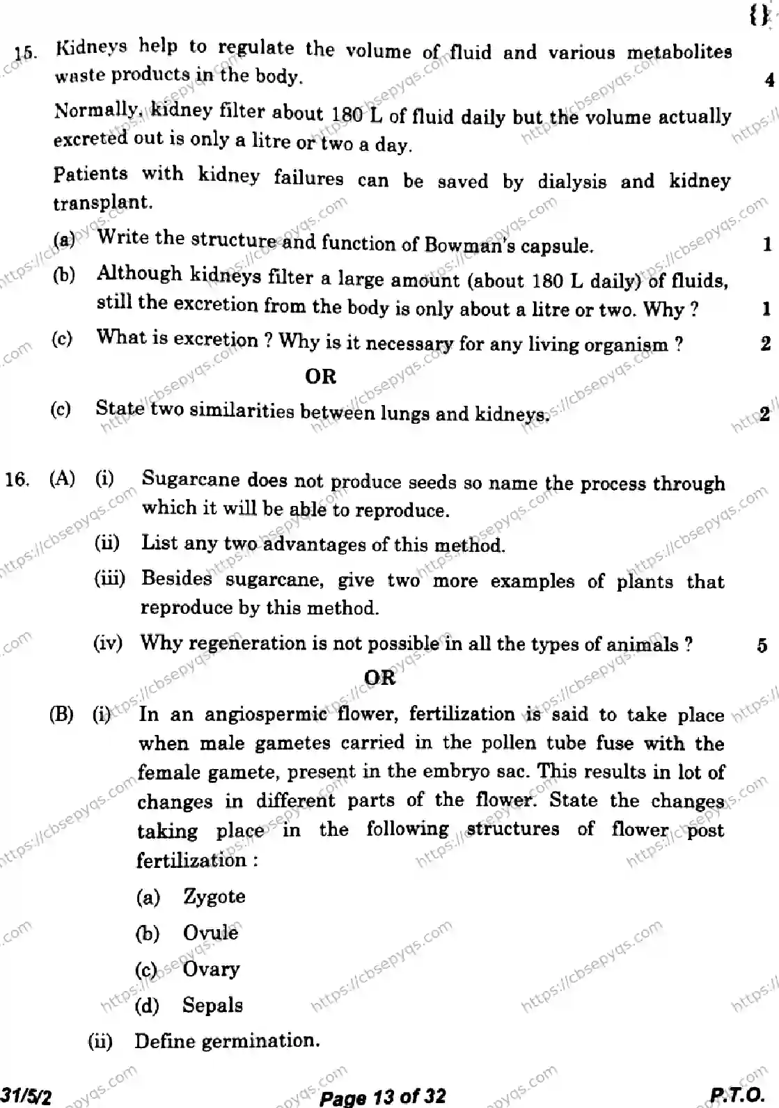 CBSE-Board-10-Previous-Year-Finals-Papers-2026-SCIENCE-KLNM-SET-B-Page-13 Image
