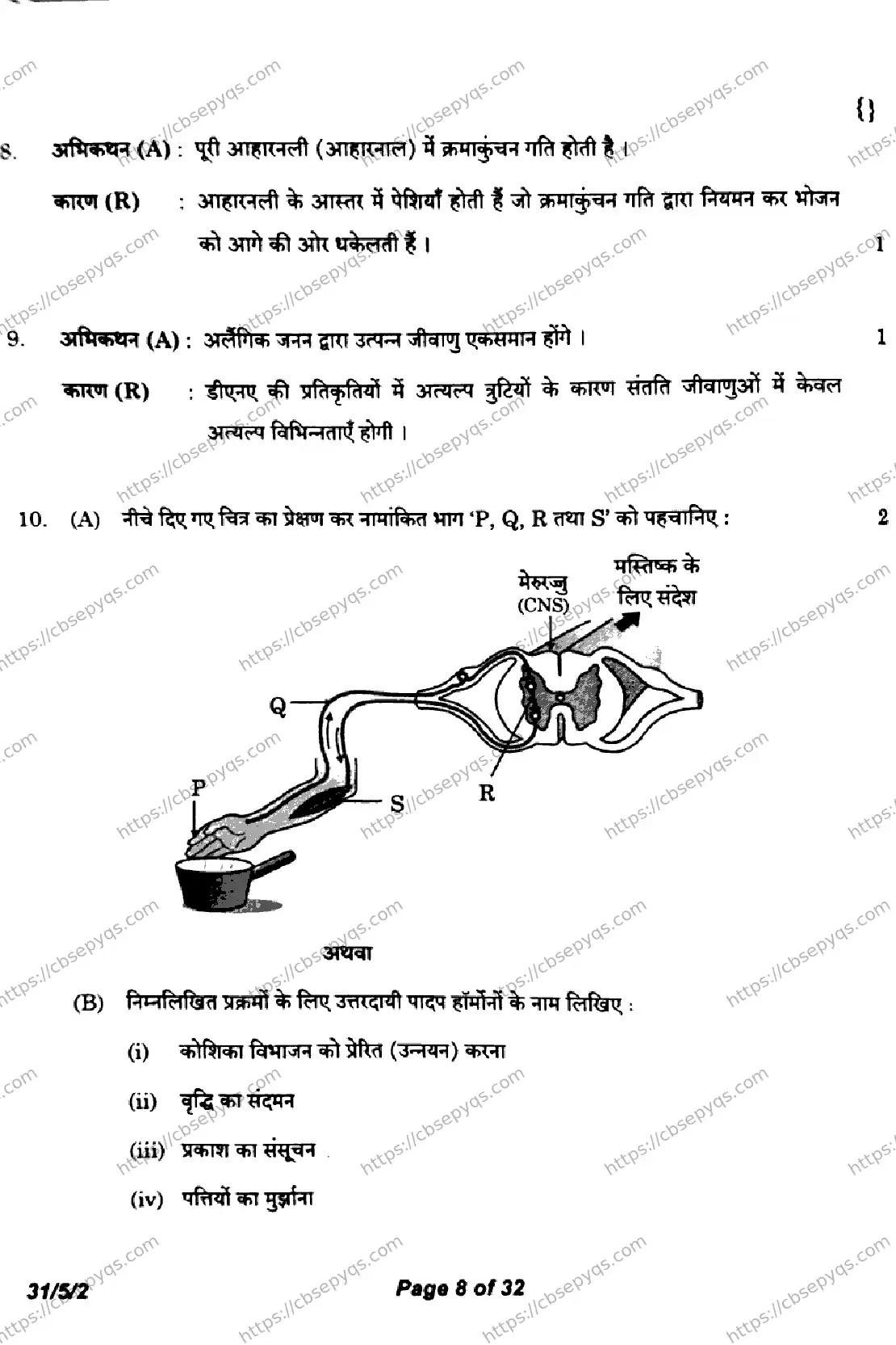 CBSE-Board-10-Previous-Year-Finals-Papers-2026-SCIENCE-KLNM-SET-B-Page-8 Image
