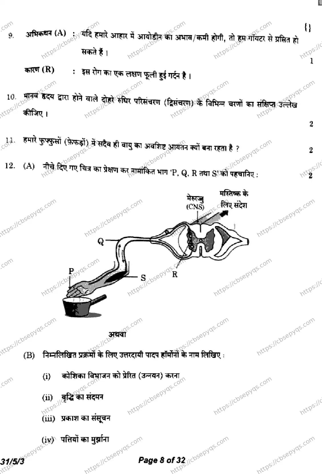 CBSE-Board-10-Previous-Year-Finals-Papers-2026-SCIENCE-KLNM-SET-C-Page-8 Image