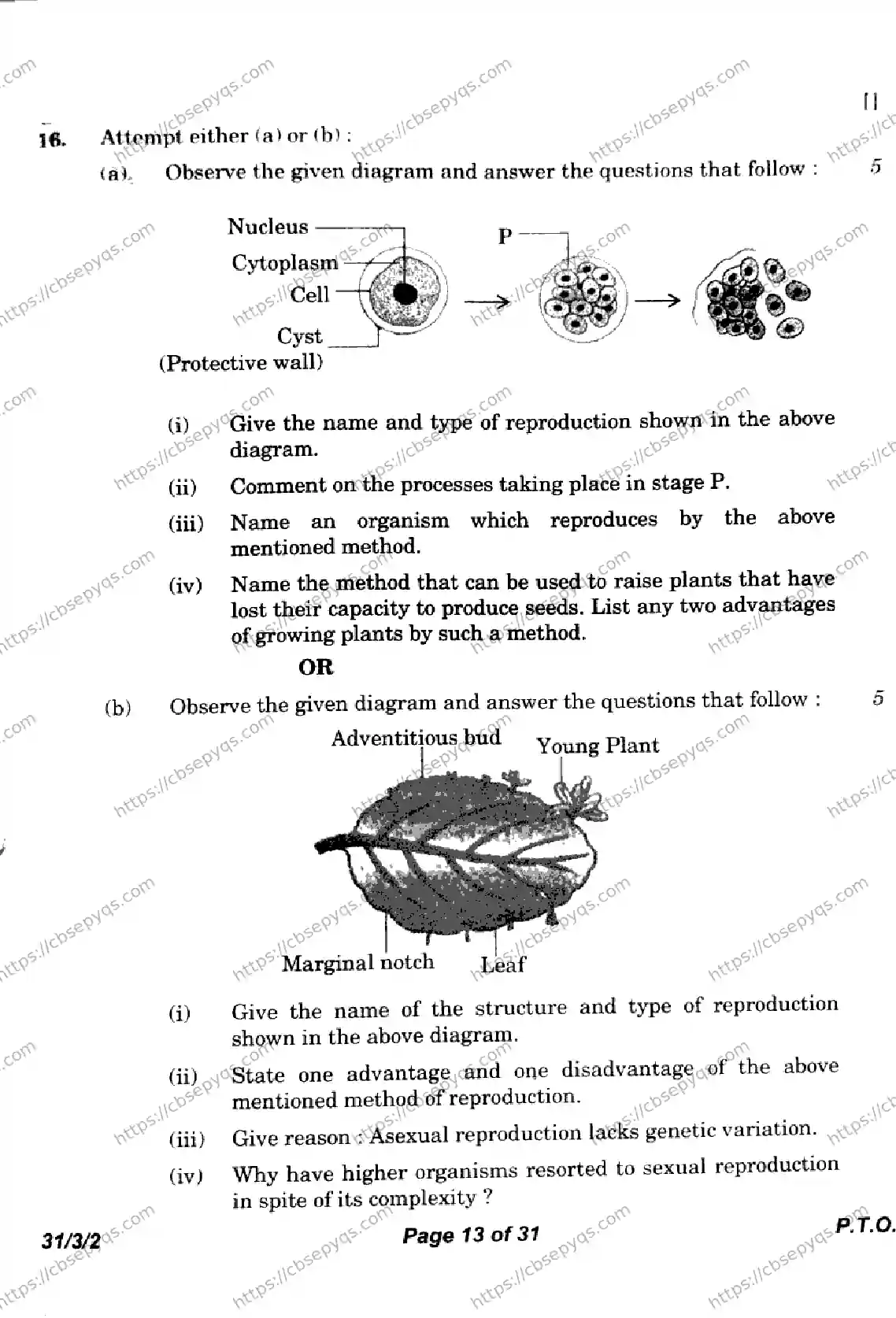 CBSE-Board-10-Previous-Year-Finals-Papers-2026-SCIENCE-LKNM-SET-D-Page-13 Image