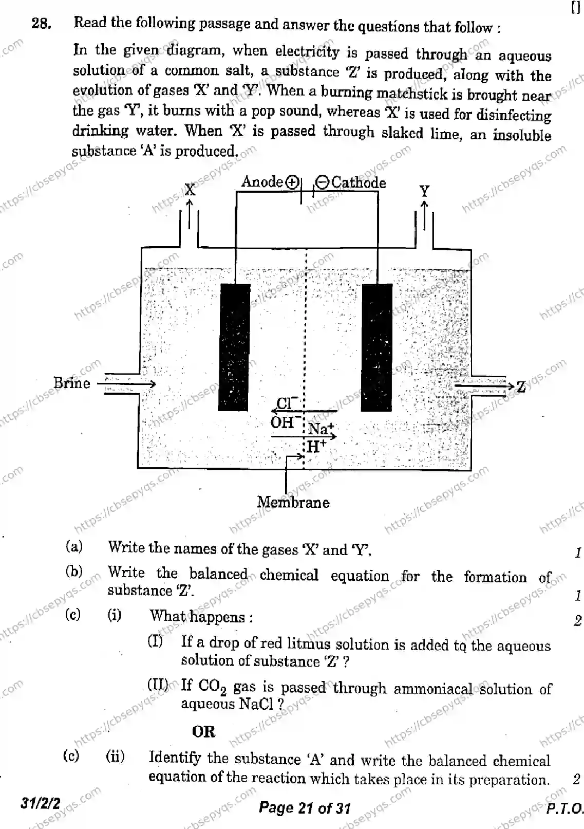 CBSE-Board-10-Previous-Year-Finals-Papers-2026-SCIENCE-LMNK-SET-B-Page-21 Image