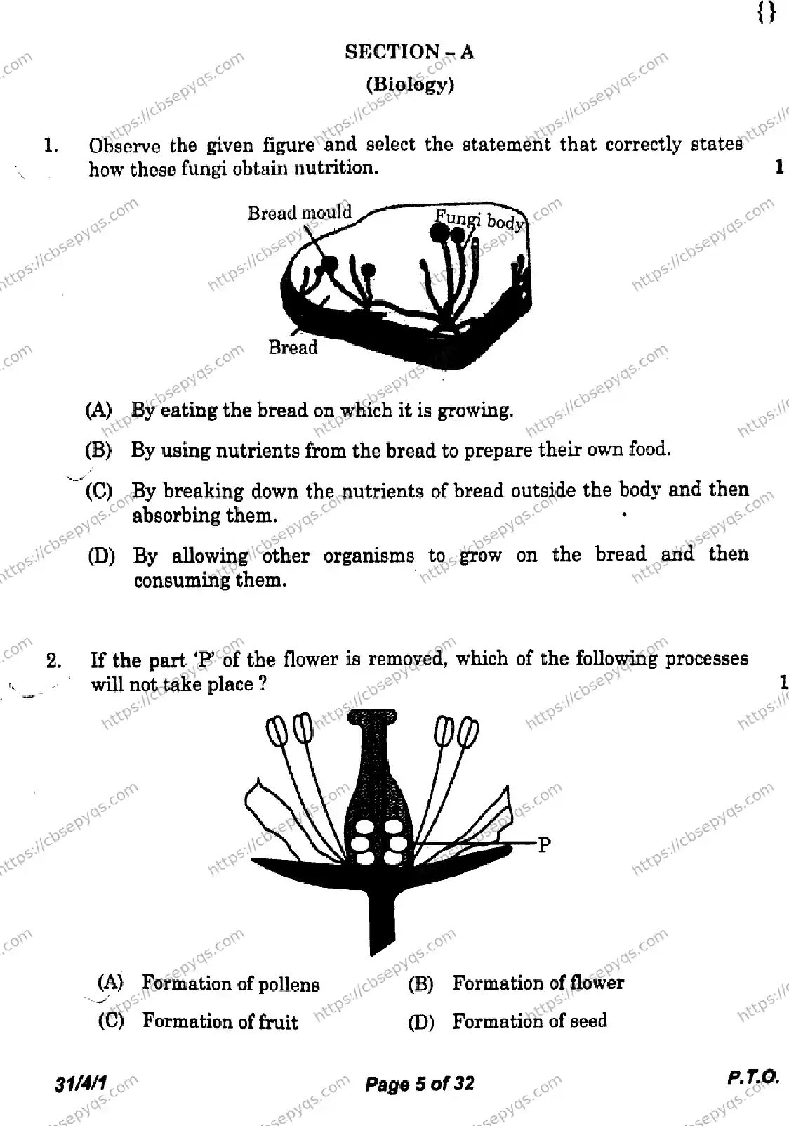 CBSE-Board-10-Previous-Year-Finals-Papers-2026-SCIENCE-LNMK-SET-A-Page-5 Image