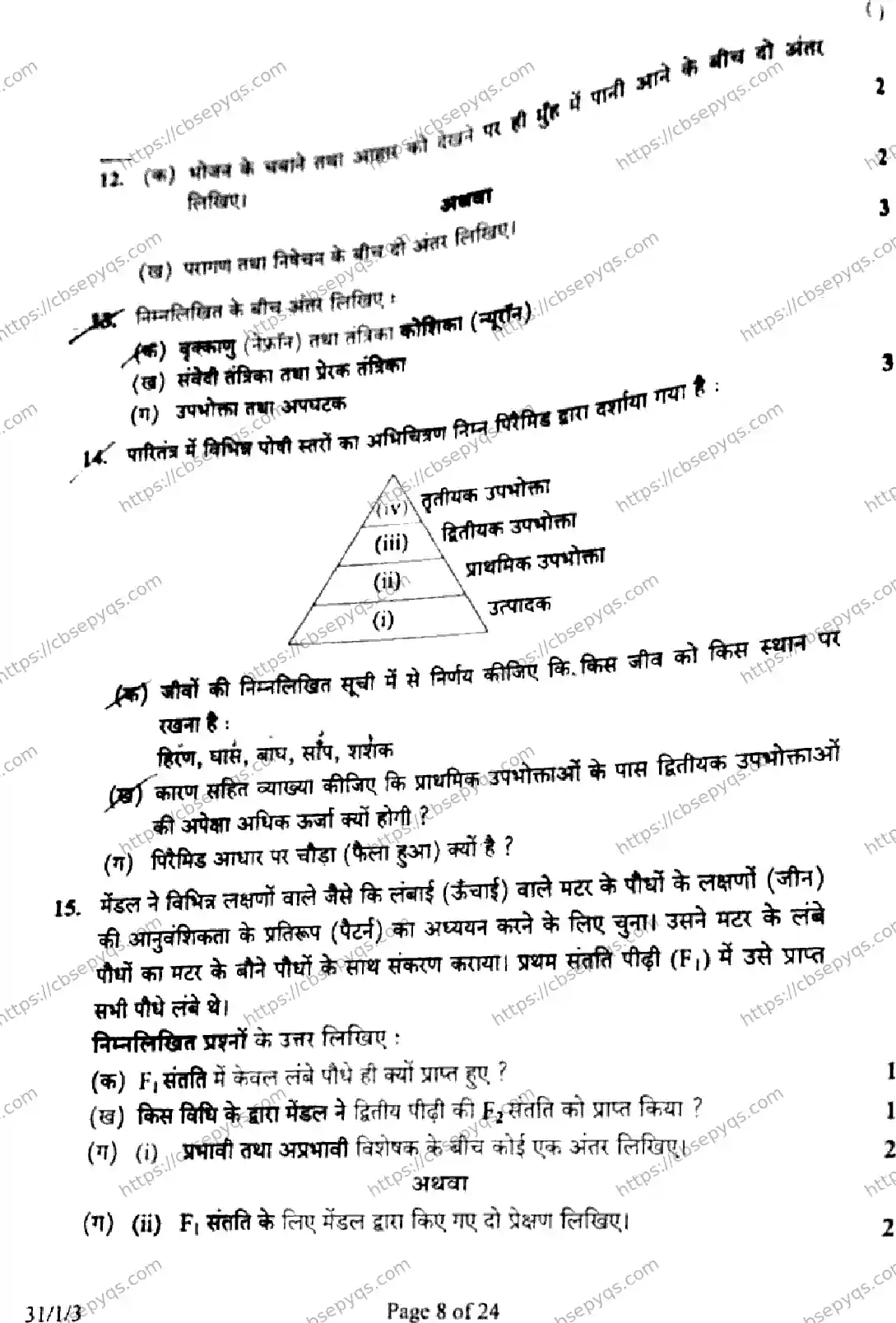 CBSE-Board-10-Previous-Year-Finals-Papers-2026-SCIENCE-MKLN-SET-A-Page-8 Image