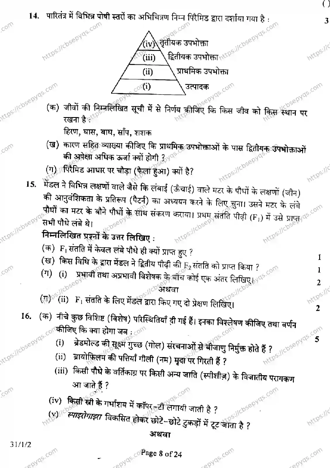 CBSE-Board-10-Previous-Year-Finals-Papers-2026-SCIENCE-MKLN-SET-B-Page-8 Image
