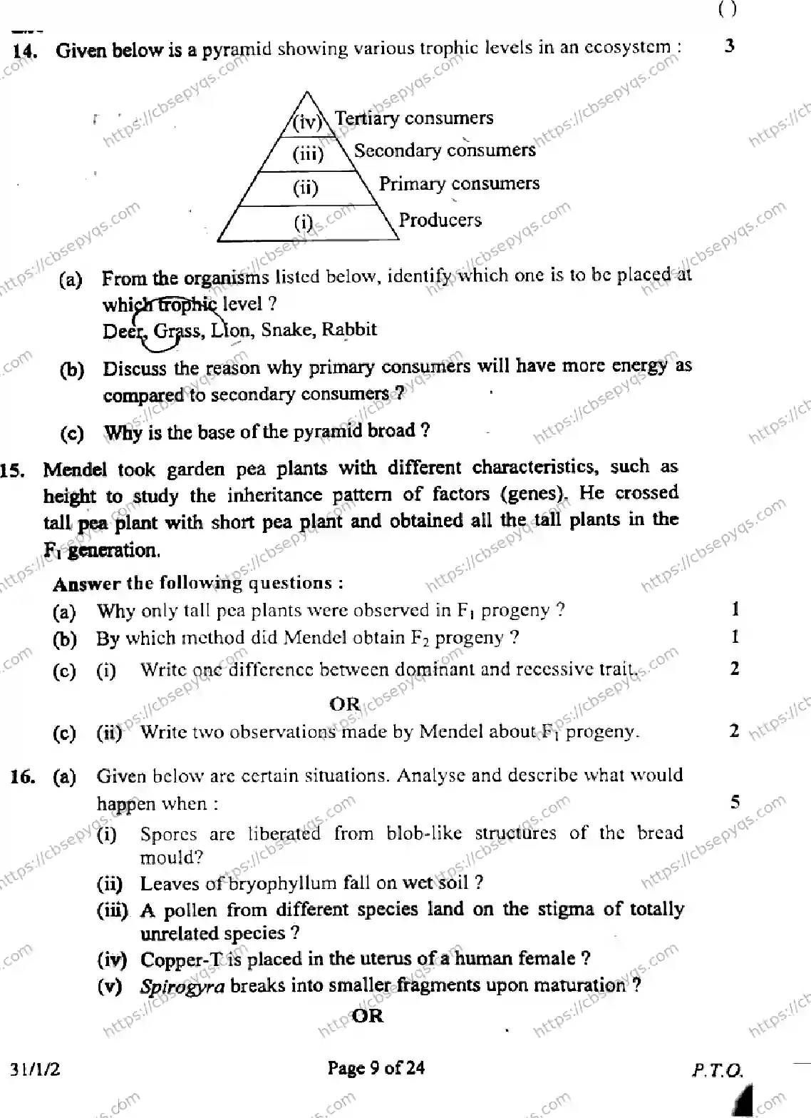 CBSE-Board-10-Previous-Year-Finals-Papers-2026-SCIENCE-MKLN-SET-B-Page-9 Image