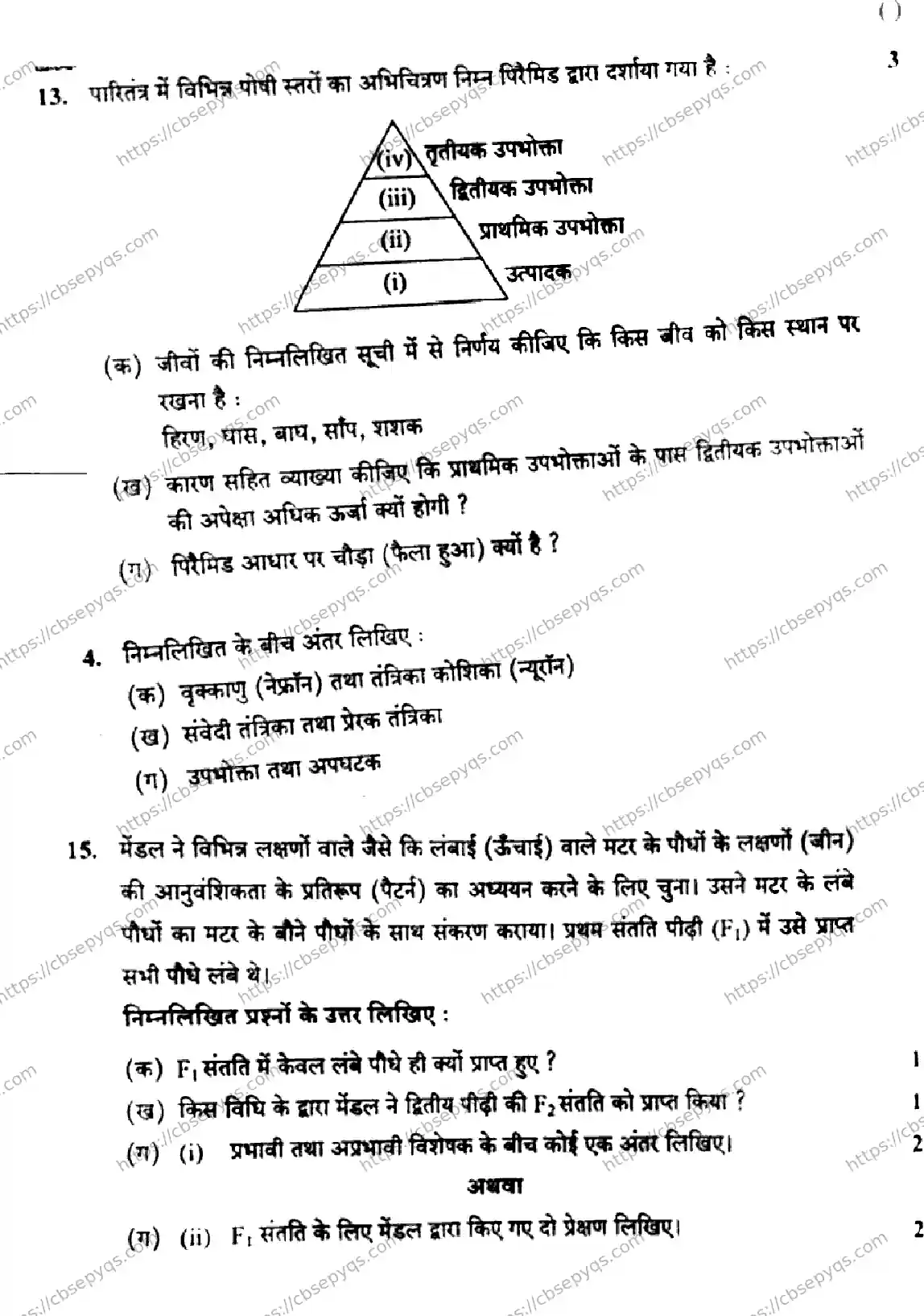 CBSE-Board-10-Previous-Year-Finals-Papers-2026-SCIENCE-MKLN-SET-C-Page-8 Image