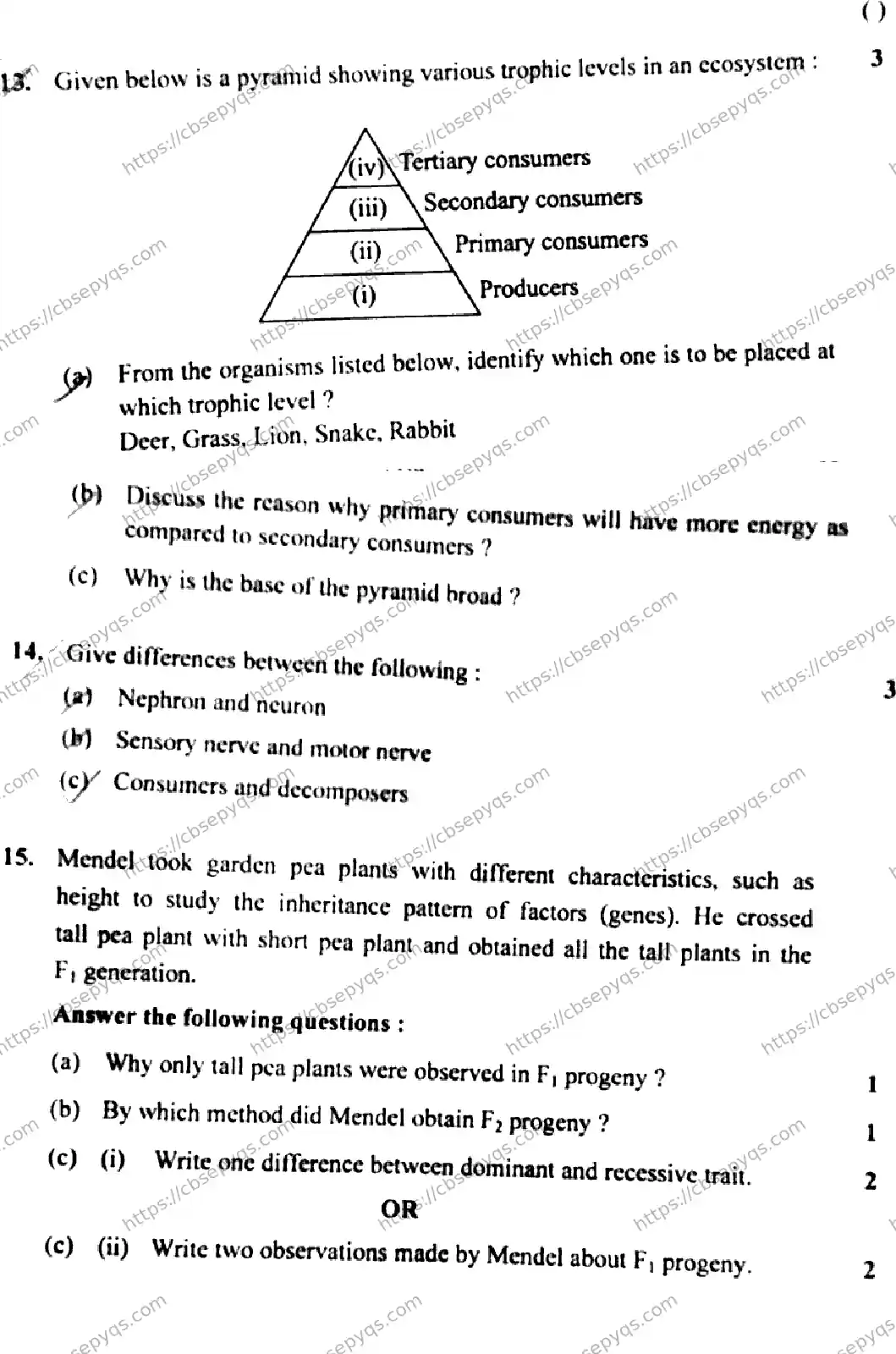 CBSE-Board-10-Previous-Year-Finals-Papers-2026-SCIENCE-MKLN-SET-C-Page-9 Image