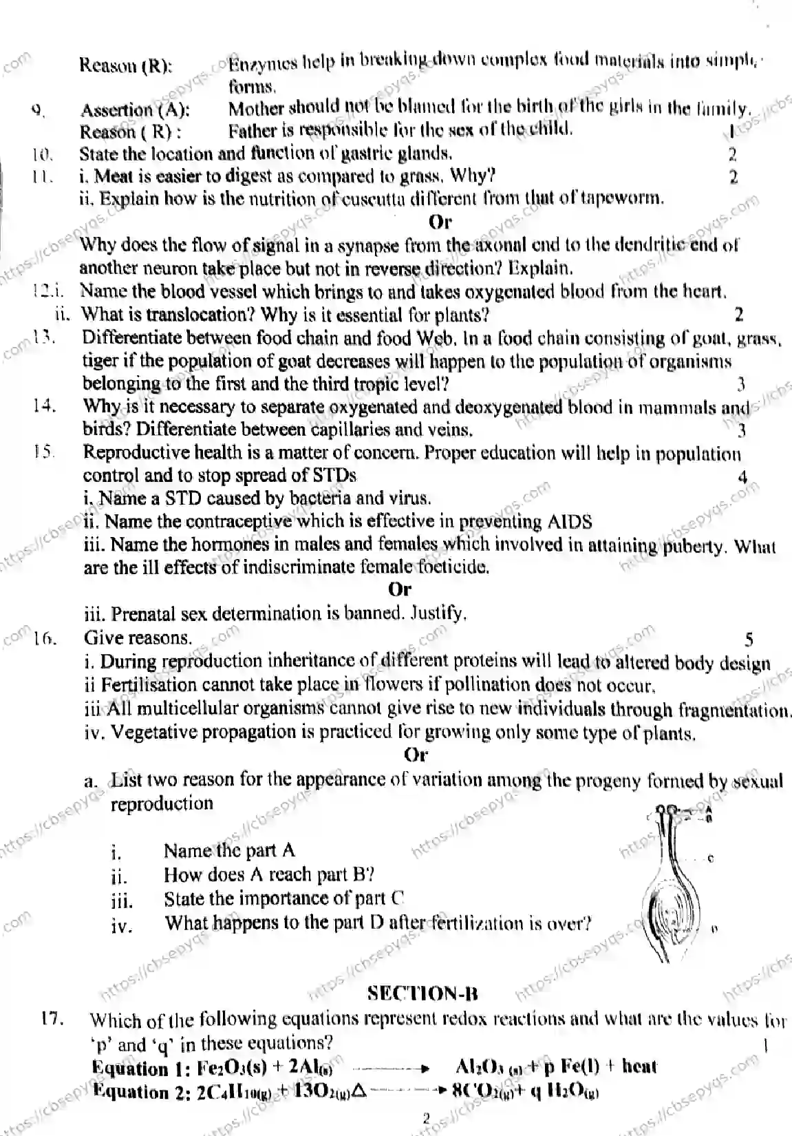 CBSE-Board-10-Previous-Year-PRE-BOARD-PAPERS-Papers-2026-PRE-BOARD-SCIENCE-FEB-Page-2 Image