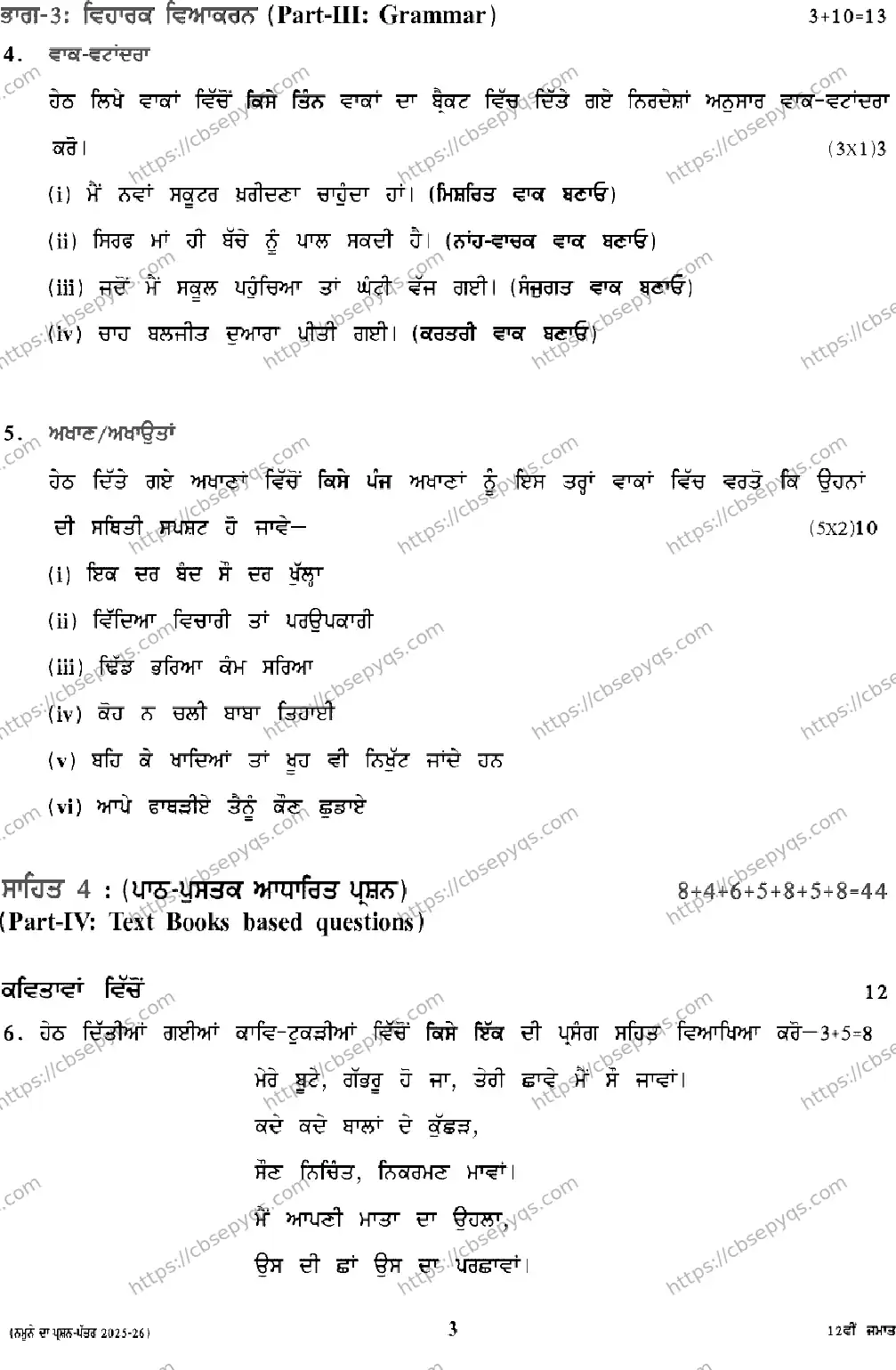 CBSE-Board-12-Previous-Year-Model-Papers-Papers-2026-MODEL-PAPER-PUNJABI-Page-3 Image