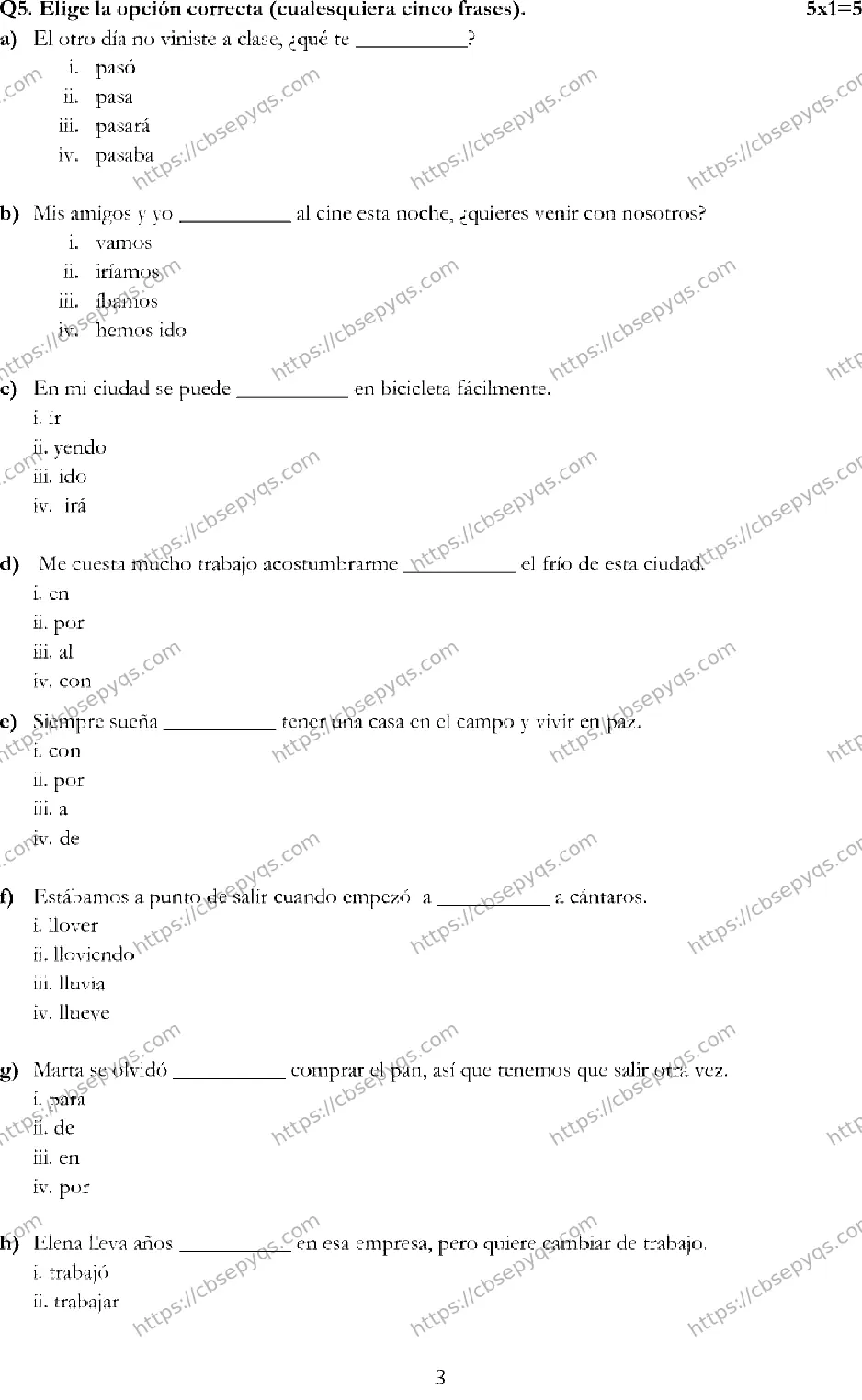 CBSE-Board-12-Previous-Year-Model-Papers-Papers-2026-MODEL-PAPER-SPANISH-Page-3 Image