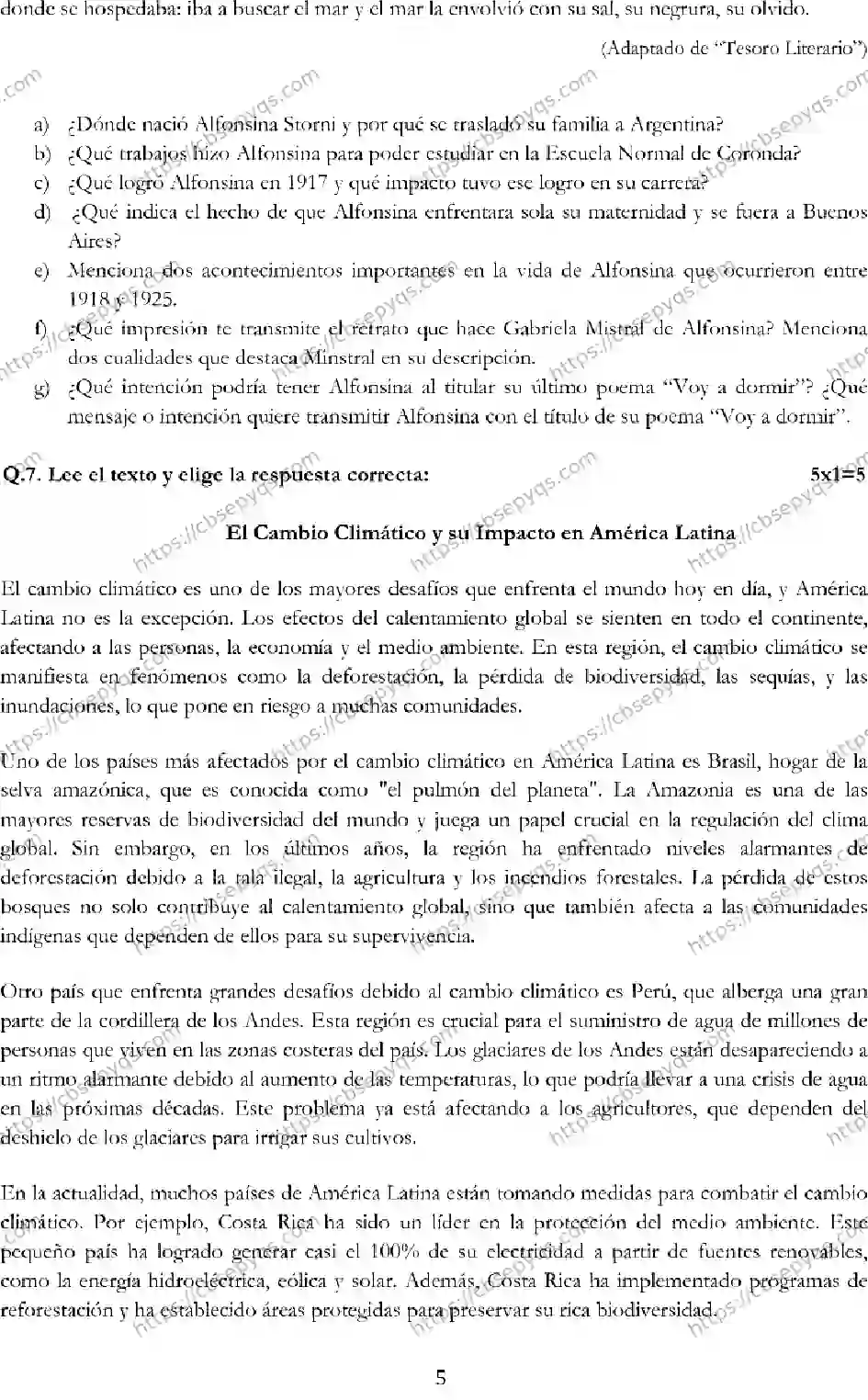 CBSE-Board-12-Previous-Year-Model-Papers-Papers-2026-MODEL-PAPER-SPANISH-Page-5 Image