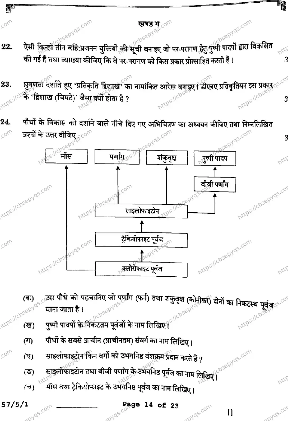 CBSE-Board-12-Previous-Year-Question-Papers-Papers-2026-BIOLOGY-SQPR-SET-A-Page-14 Image