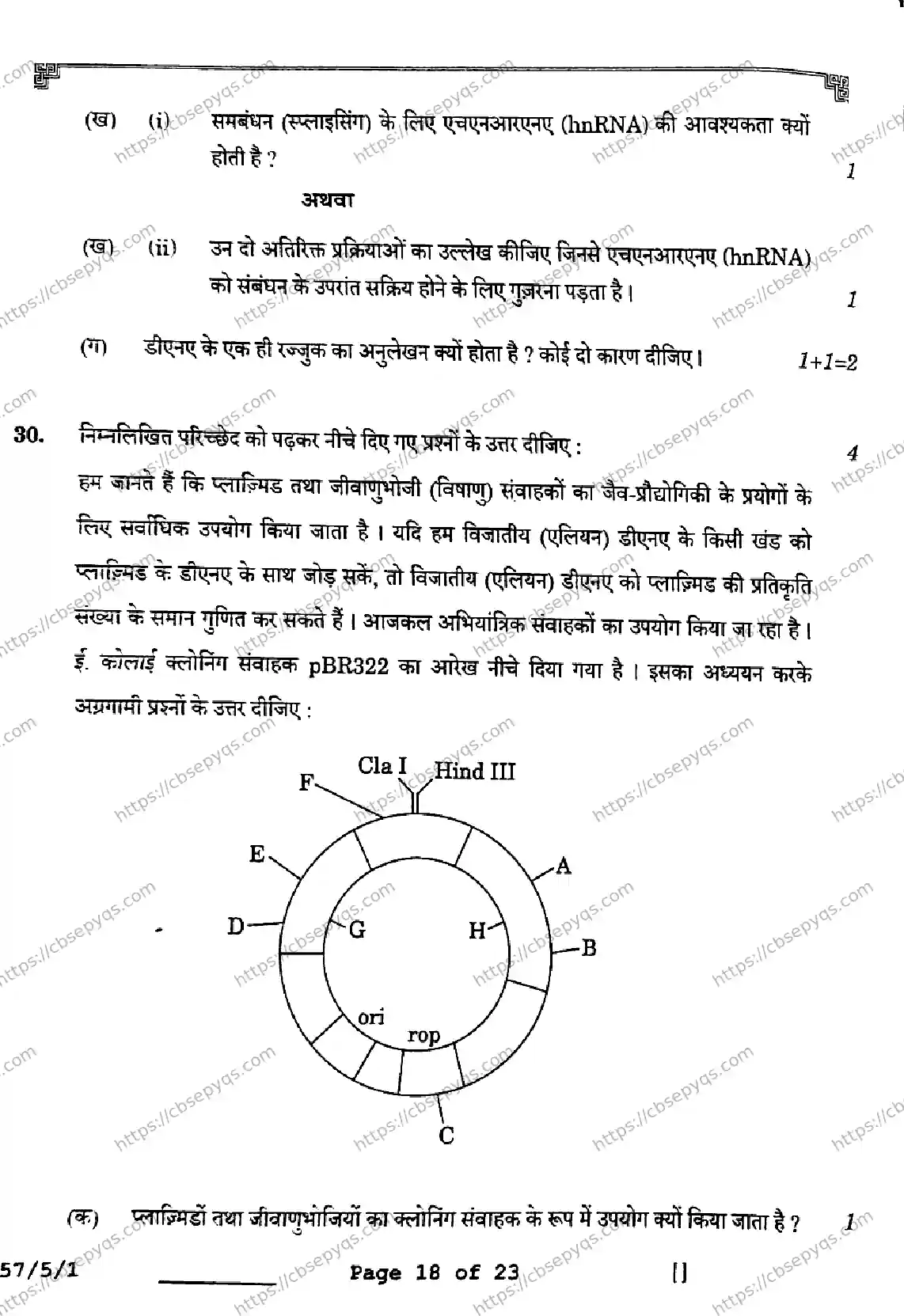 CBSE-Board-12-Previous-Year-Question-Papers-Papers-2026-BIOLOGY-SQPR-SET-A-Page-18 Image