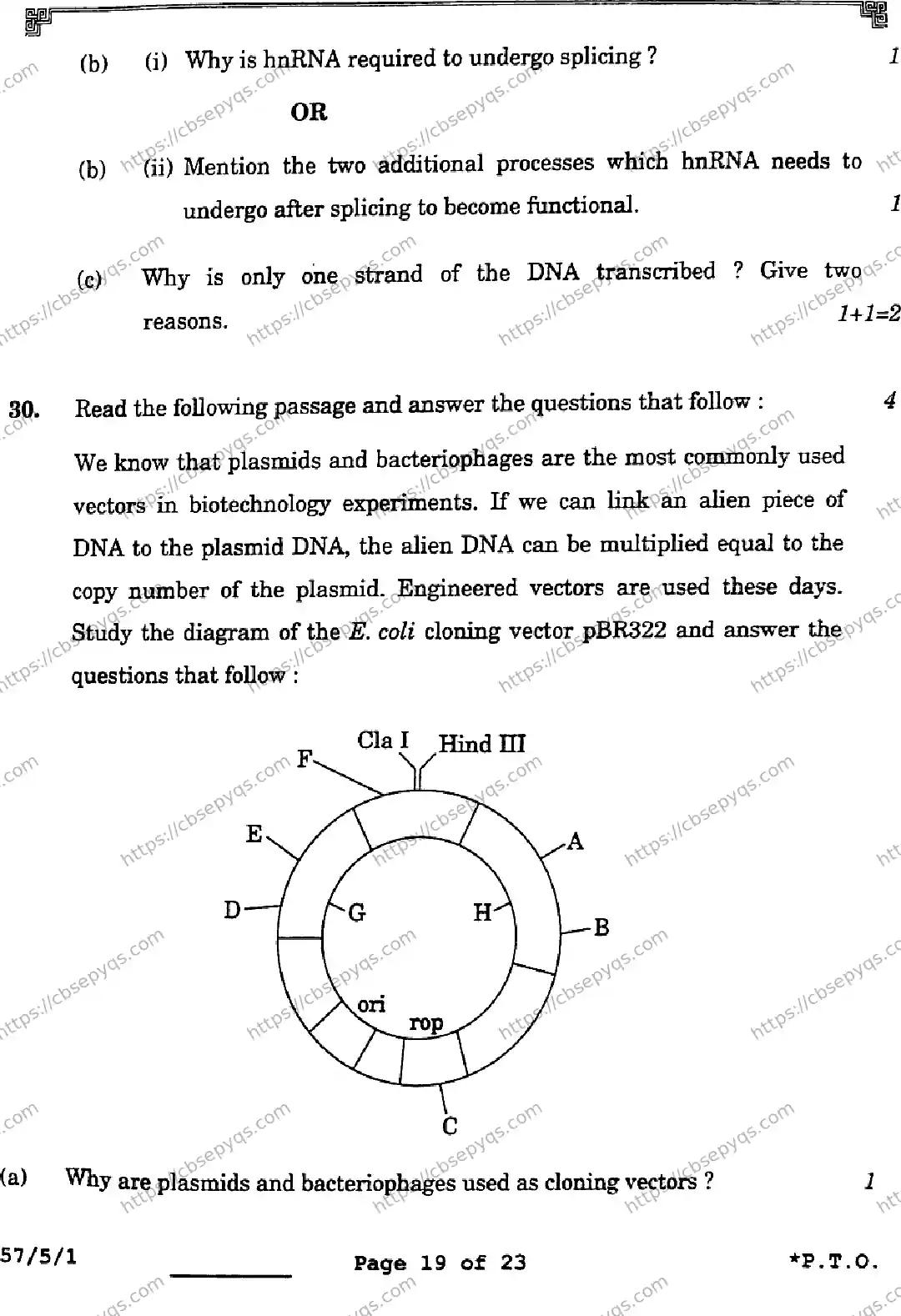 CBSE-Board-12-Previous-Year-Question-Papers-Papers-2026-BIOLOGY-SQPR-SET-A-Page-19 Image