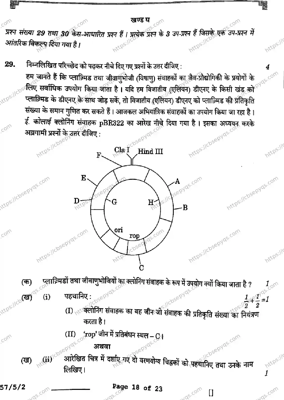 CBSE-Board-12-Previous-Year-Question-Papers-Papers-2026-BIOLOGY-SQPR-SET-B-Page-18 Image