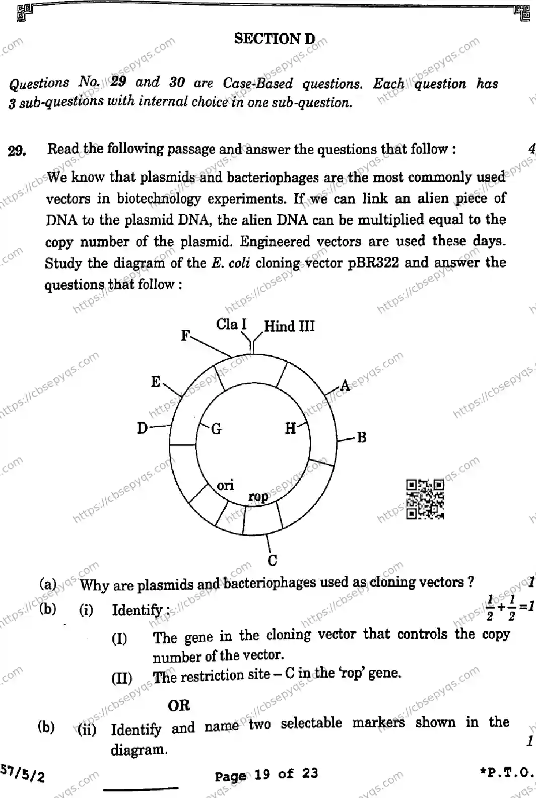 CBSE-Board-12-Previous-Year-Question-Papers-Papers-2026-BIOLOGY-SQPR-SET-B-Page-19 Image