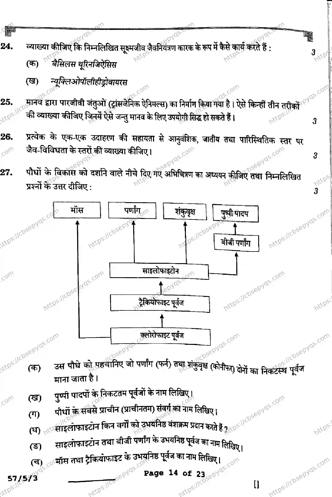 CBSE-Board-12-Previous-Year-Question-Papers-Papers-2026-BIOLOGY-SQPR-SET-C-Page-14 Image