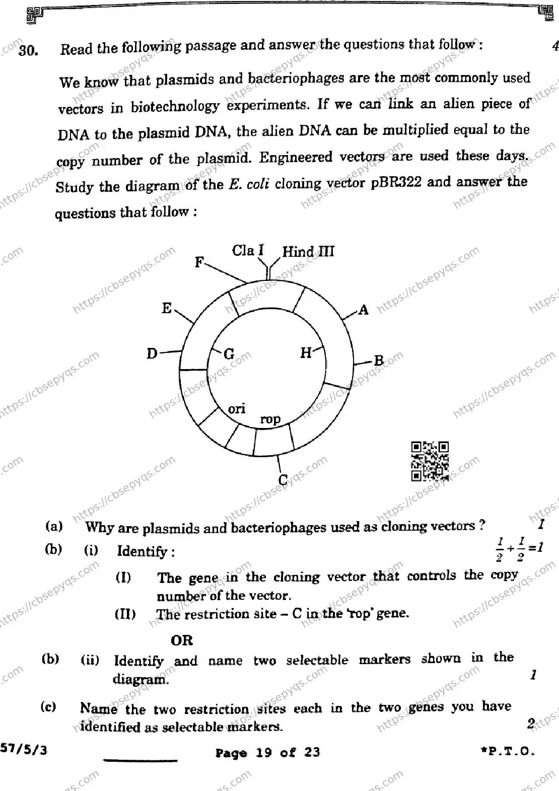 CBSE-Board-12-Previous-Year-Question-Papers-Papers-2026-BIOLOGY-SQPR-SET-C-Page-19 Image
