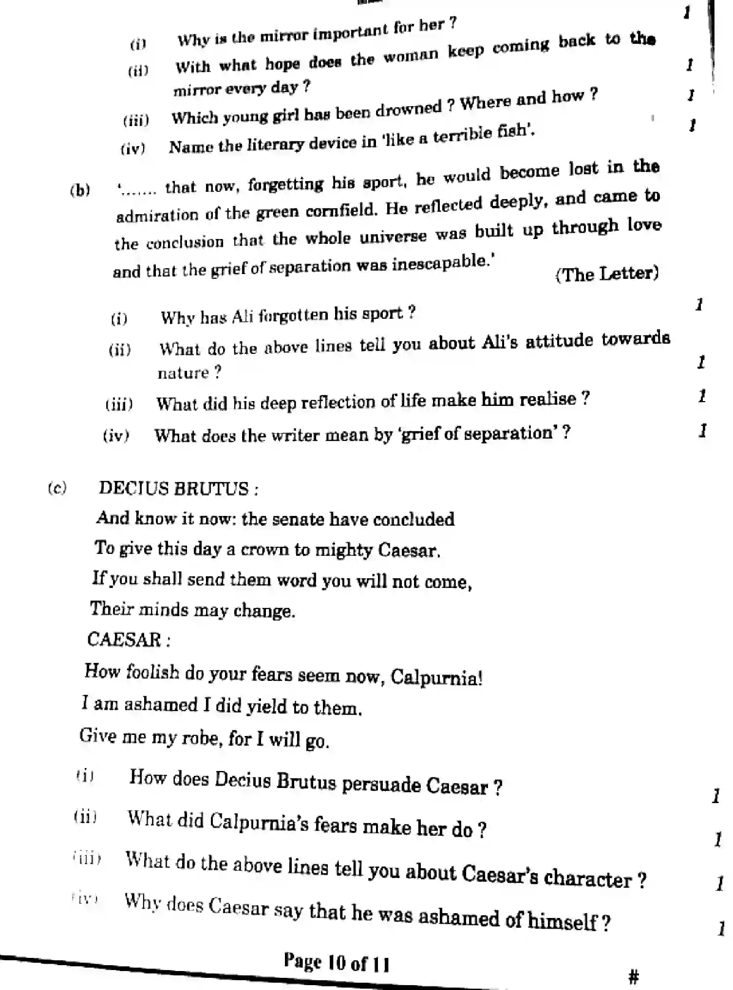 CBSE-Class-10-Previous-Year-Question-Papers-ENGLISH-COMMUNICATIVE-HF1EG-SET-4-Page-10 Image