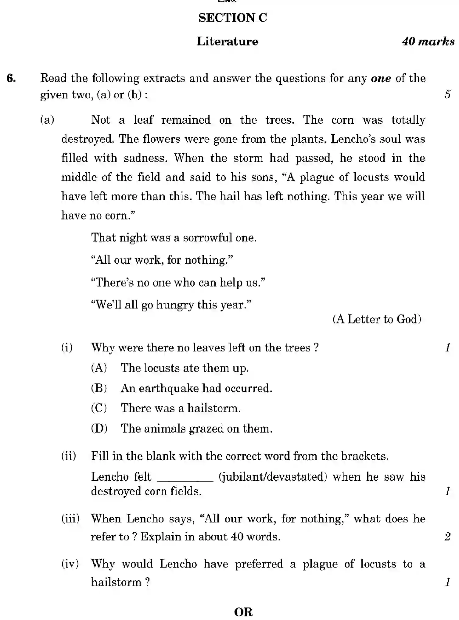 CBSE-Class-10-Previous-Year-Question-Papers-ENGLISH-LANGUAGE-AND-LITERATURE-HF1EG-SET-1-Page-13 Image