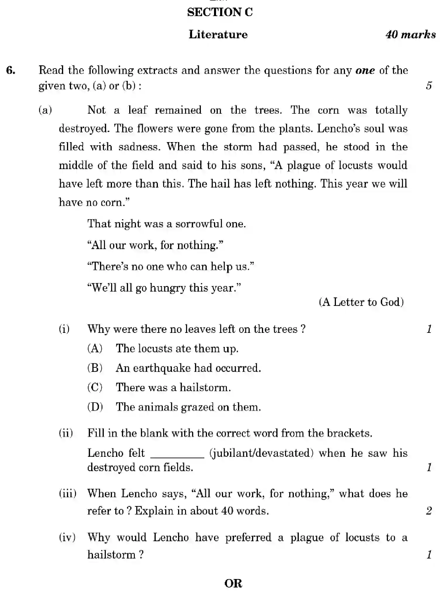 CBSE-Class-10-Previous-Year-Question-Papers-ENGLISH-LANGUAGE-AND-LITERATURE-HF1EG-SET-2-Page-13 Image