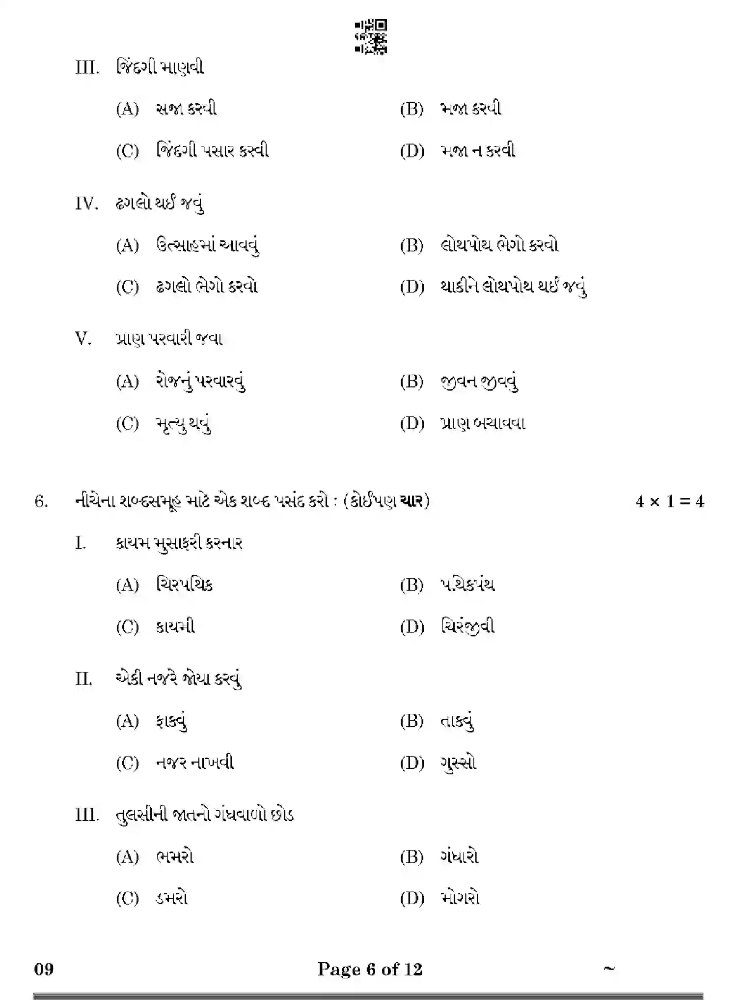 CBSE-Class-10-Previous-Year-Question-Papers-GUJARATI-HF1EG-SET-4-Page-6 Image