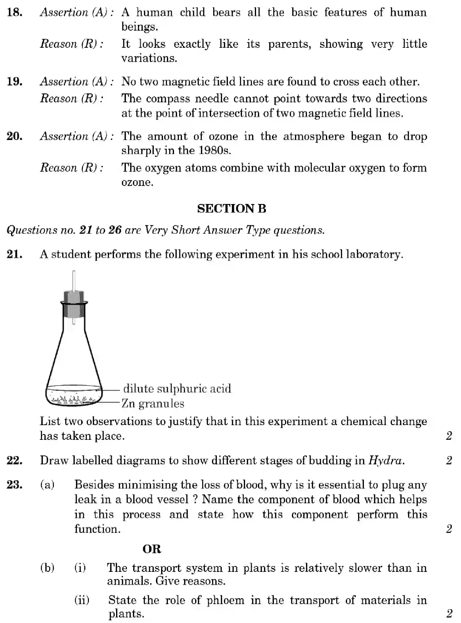 CBSE-Class-10-Previous-Year-Question-Papers-SCIENCE-1GEFH-SET-1-Page-13 Image