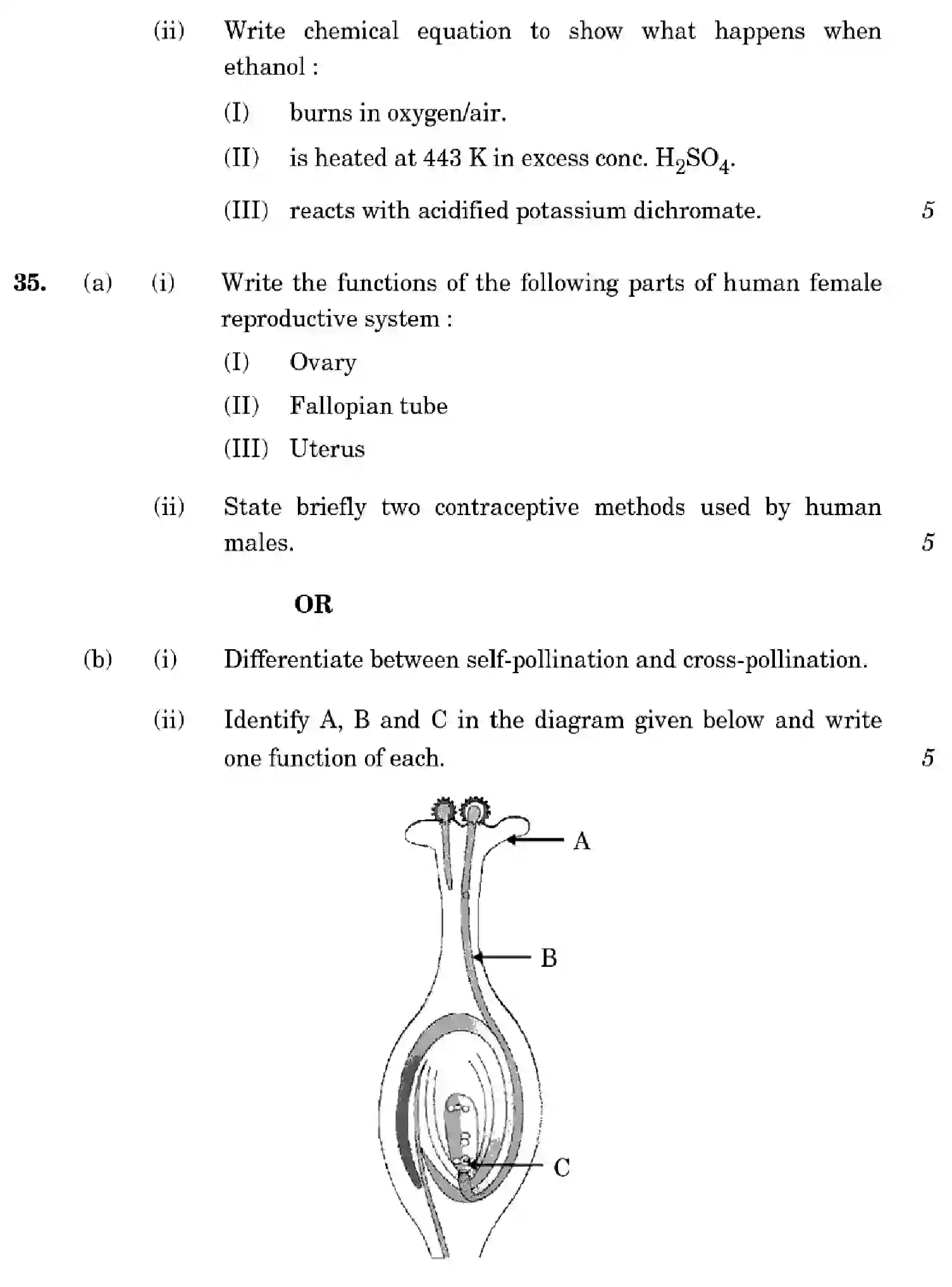 CBSE-Class-10-Previous-Year-Question-Papers-SCIENCE-1GEFH-SET-1-Page-21 Image