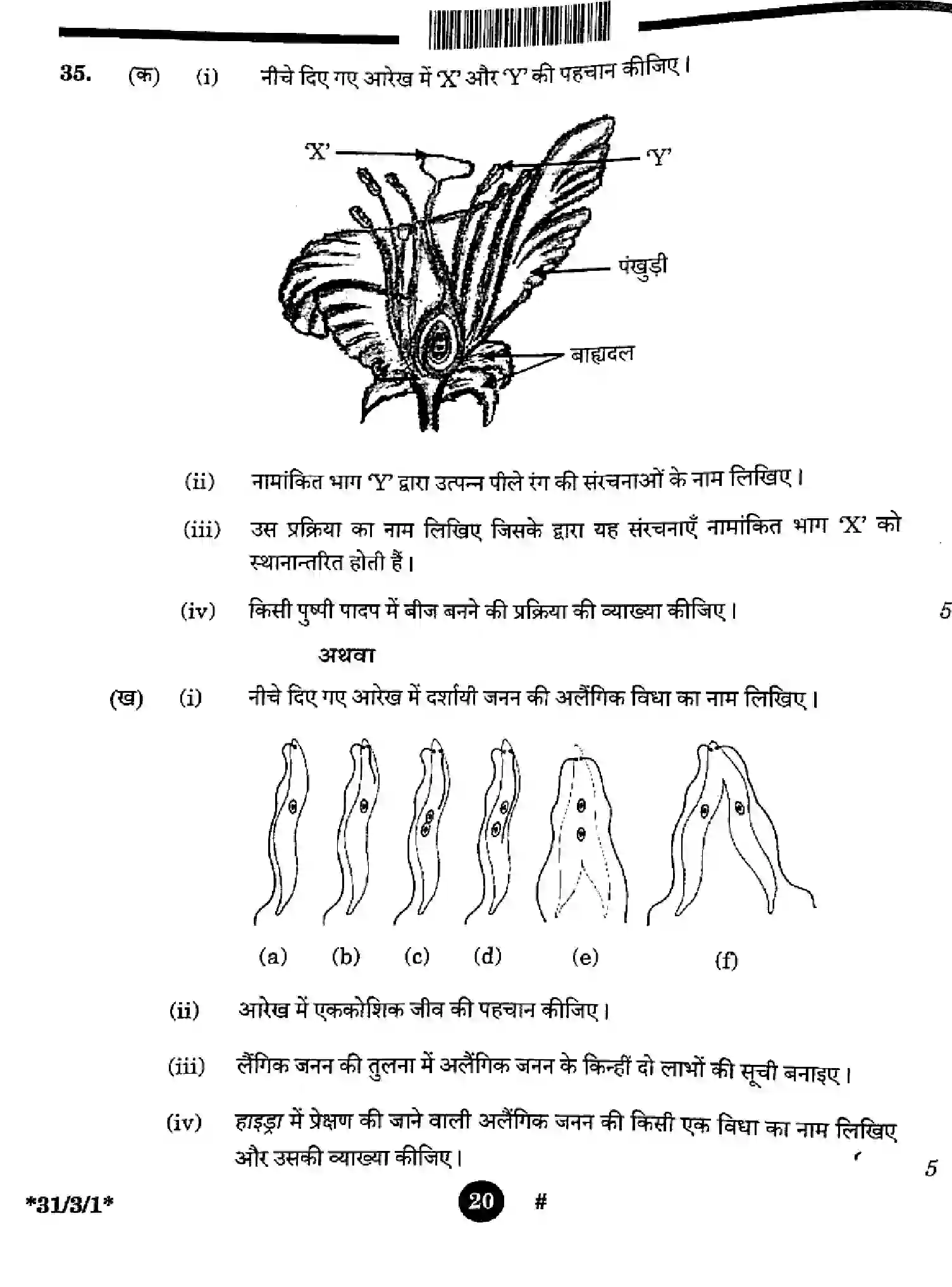 CBSE-Class-10-Previous-Year-Question-Papers-SCIENCE-3EGFH-SET-1-Page-20 Image