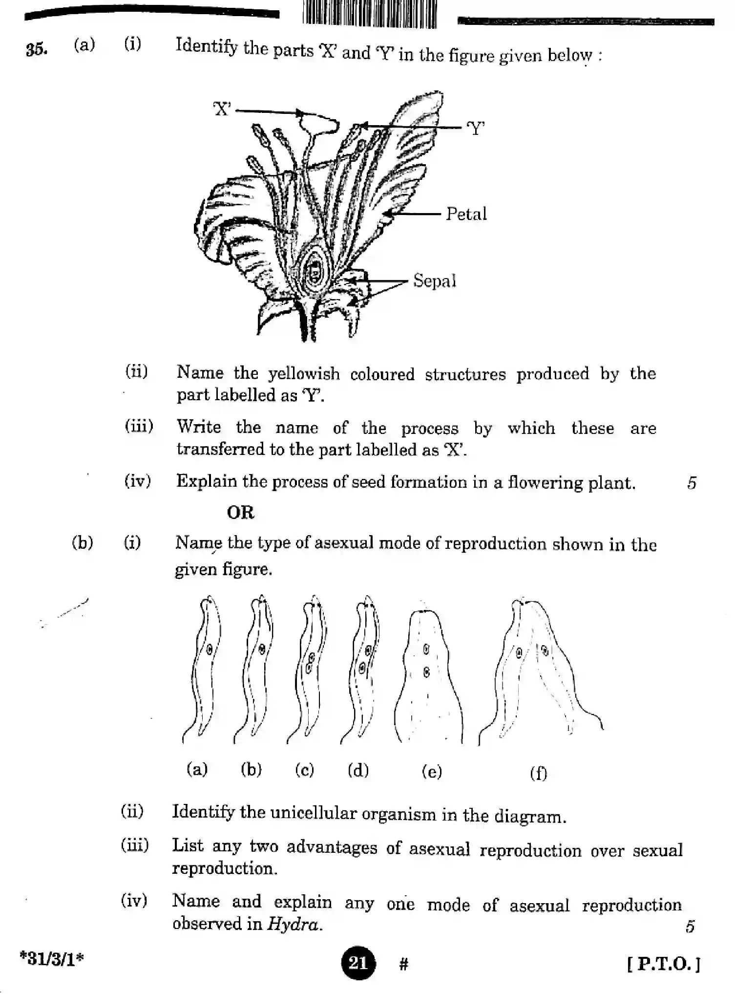 CBSE-Class-10-Previous-Year-Question-Papers-SCIENCE-3EGFH-SET-1-Page-21 Image