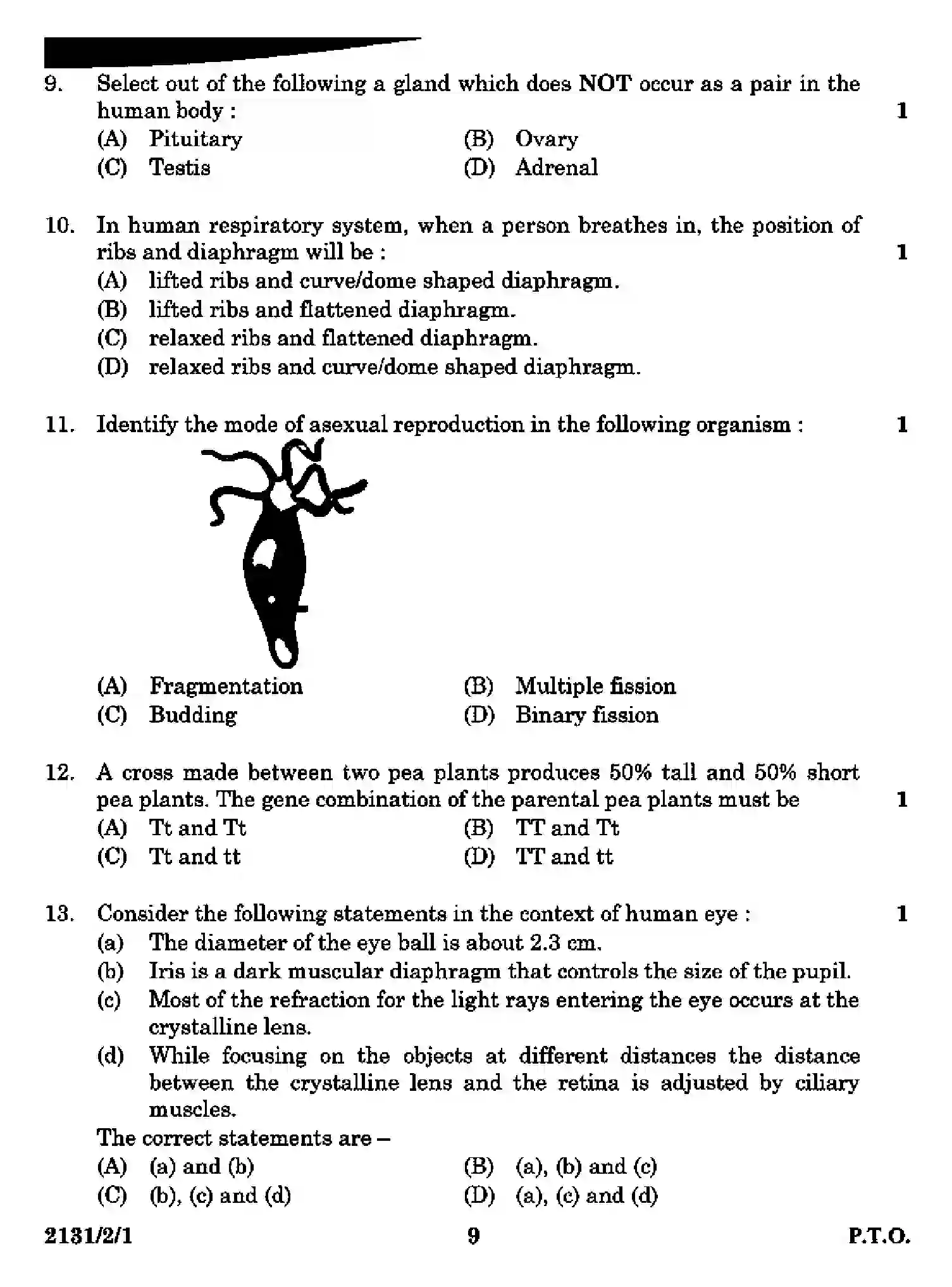 CBSE-Class-10-Previous-Year-Question-Papers-SCIENCE-A2DDC-2-SET-1-Page-9 Image
