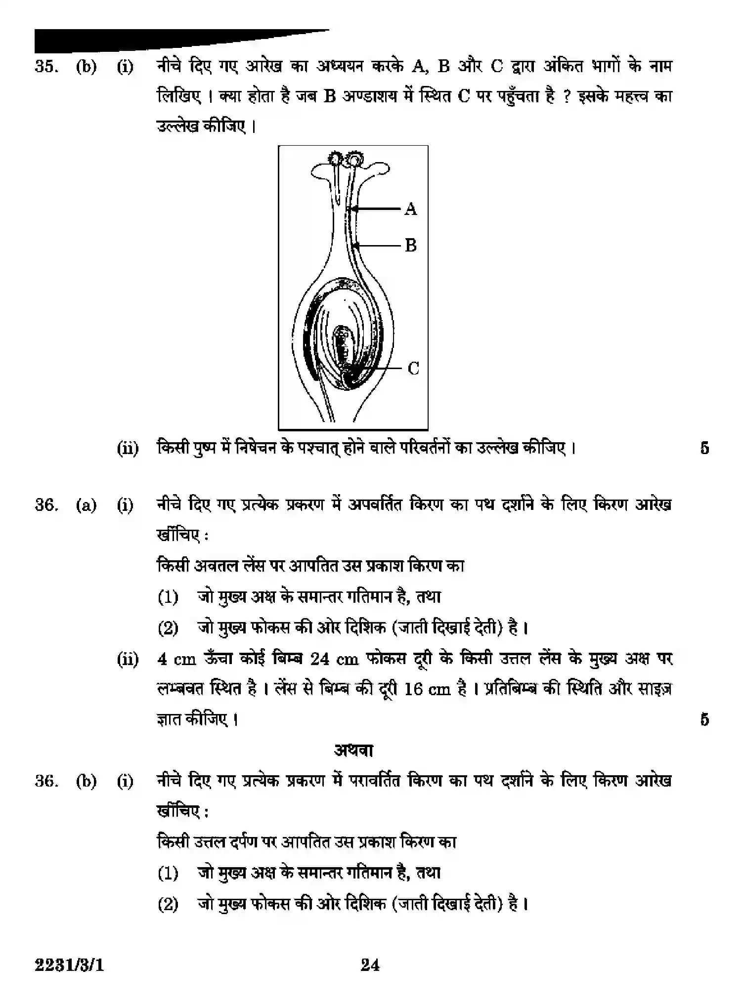 CBSE-Class-10-Previous-Year-Question-Papers-SCIENCE-DAA1B-3-SET-1-Page-24 Image