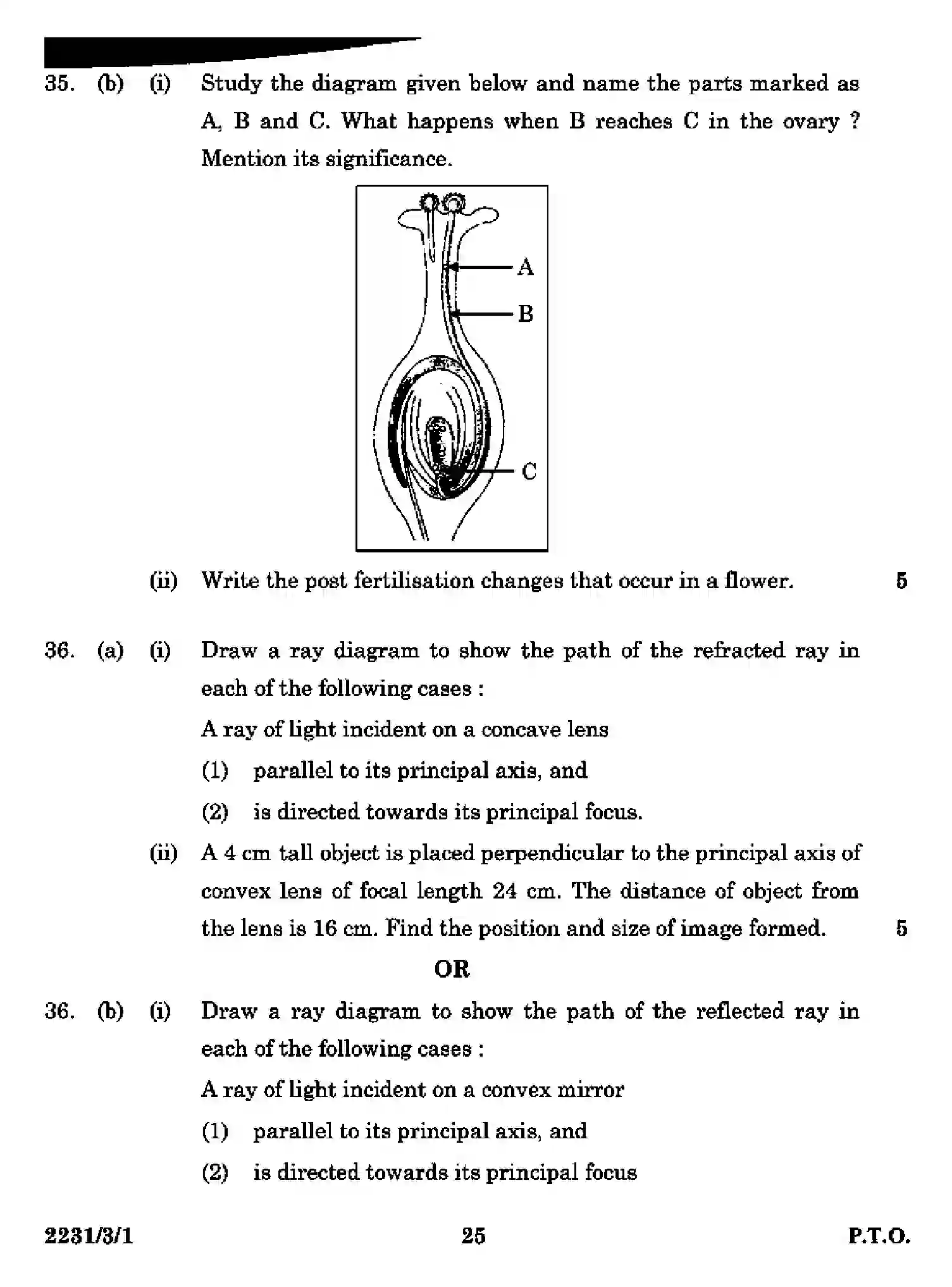 CBSE-Class-10-Previous-Year-Question-Papers-SCIENCE-DAA1B-3-SET-1-Page-25 Image