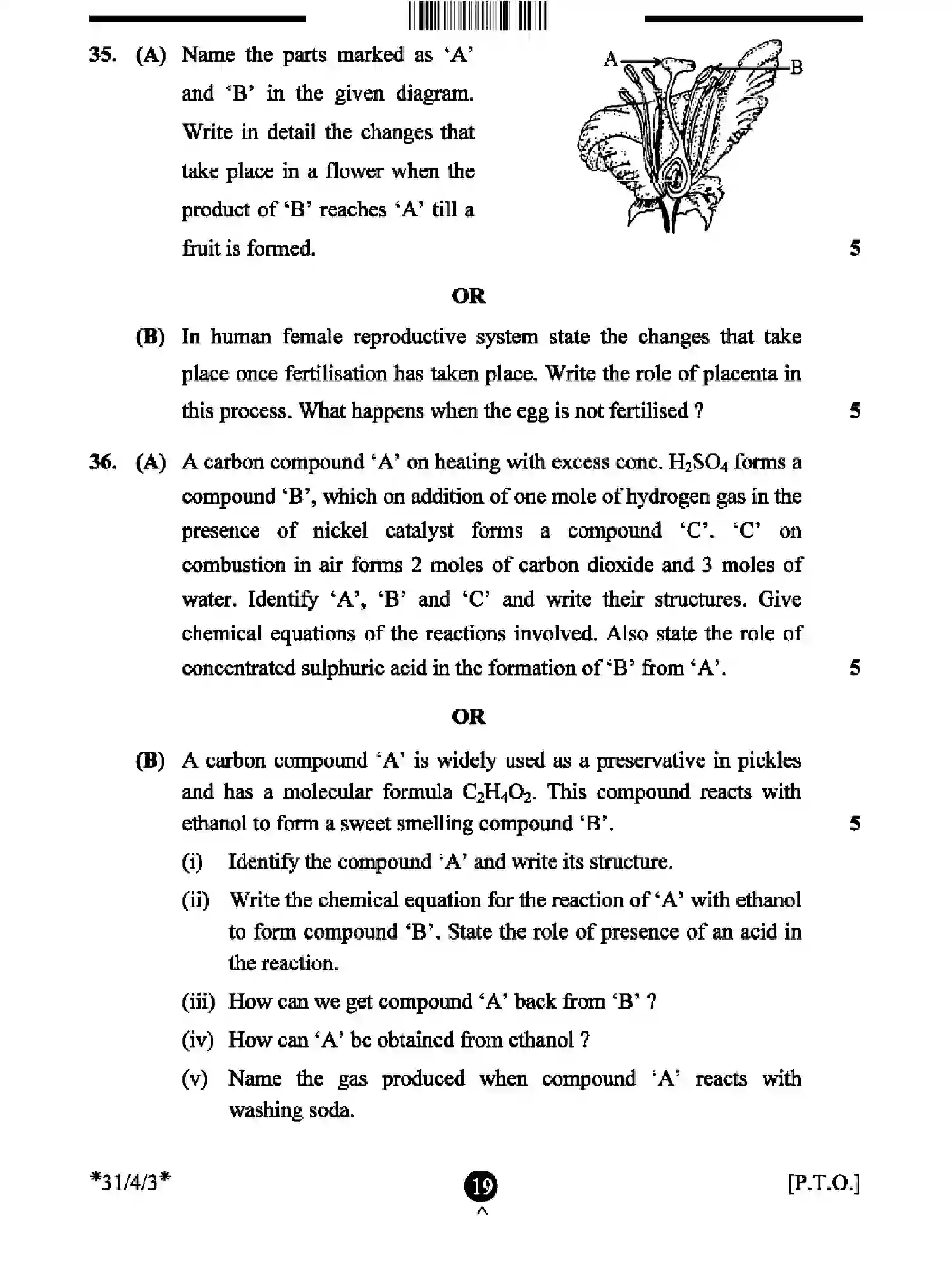 CBSE-Class-10-Previous-Year-Question-Papers-SCIENCE-EFHG4-SET-3-Page-19 Image
