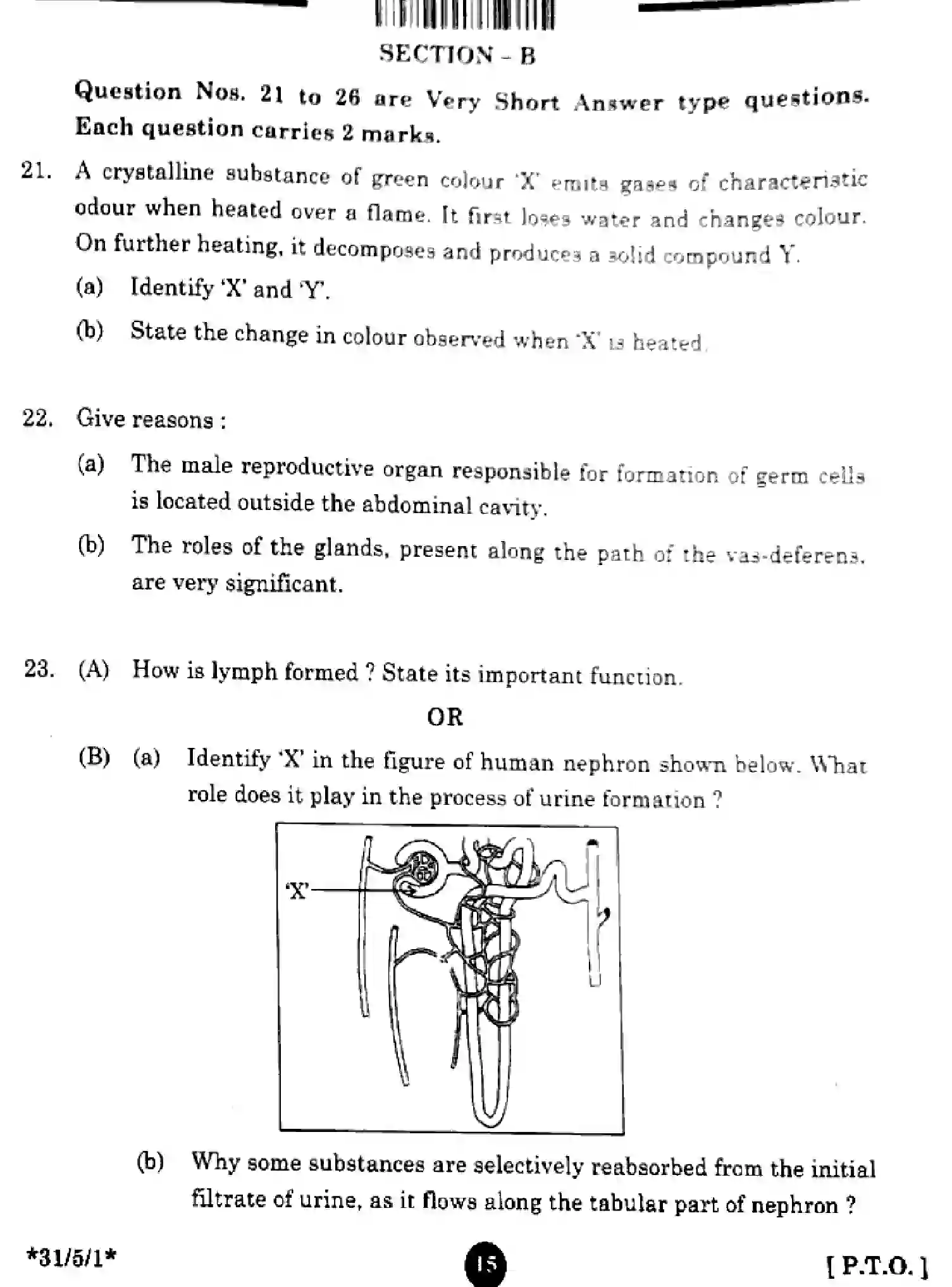 CBSE-Class-10-Previous-Year-Question-Papers-SCIENCE-GFHE5-SET-1-Page-13 Image