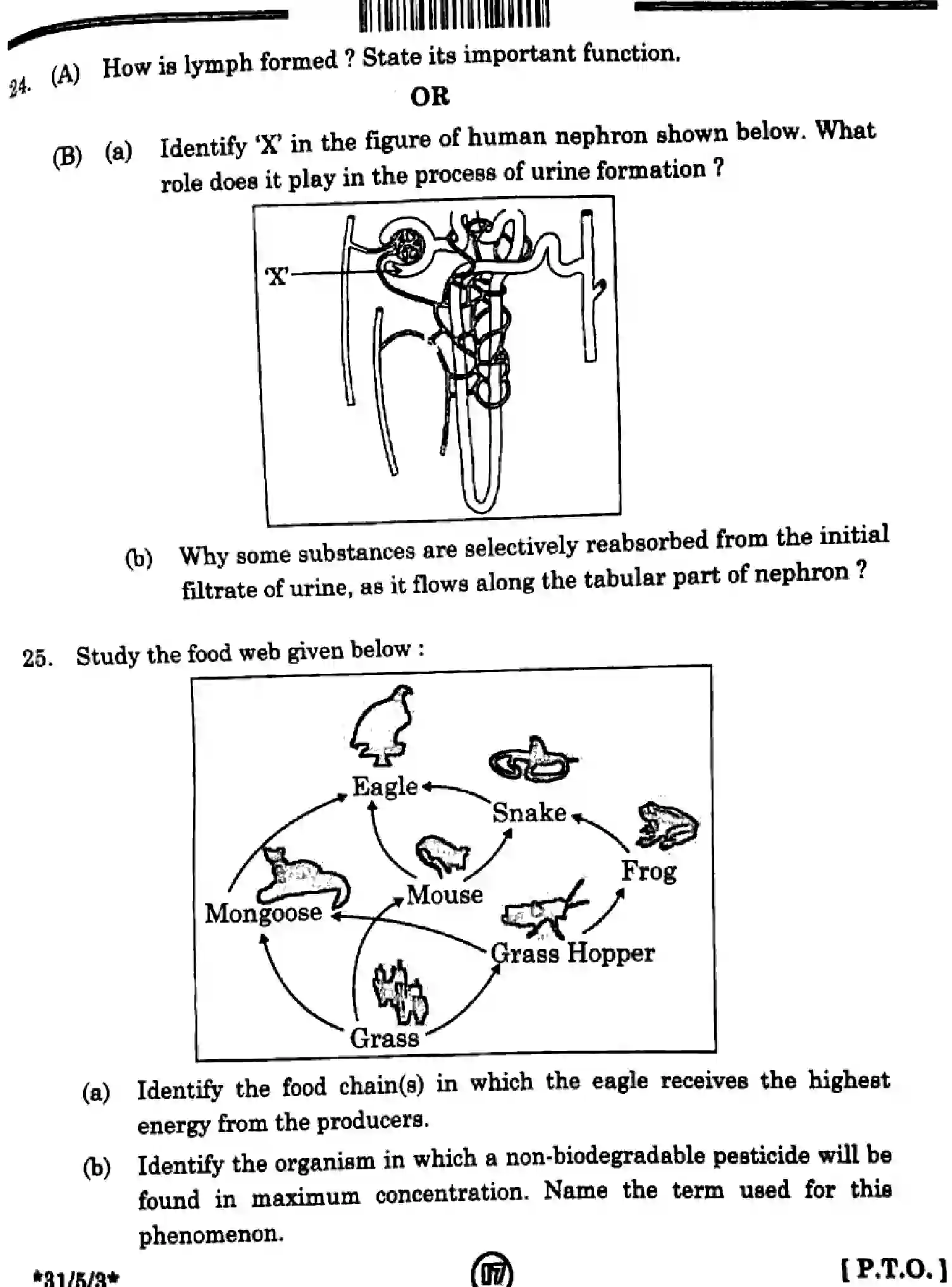 CBSE-Class-10-Previous-Year-Question-Papers-SCIENCE-GFHE5-SET-3-Page-9 Image