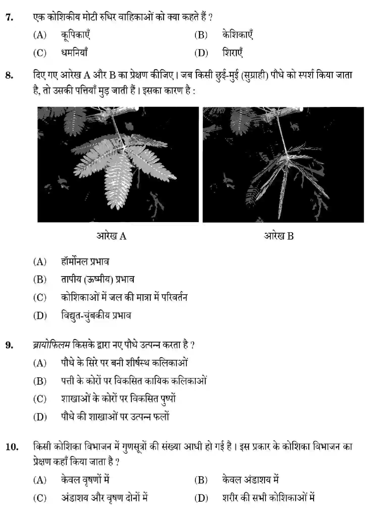 CBSE-Class-10-Previous-Year-Question-Papers-SCIENCE-GHF2E-SET-1-Page-6 Image