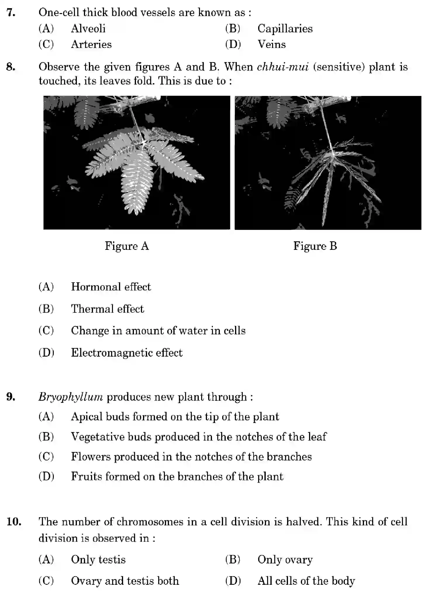 CBSE-Class-10-Previous-Year-Question-Papers-SCIENCE-GHF2E-SET-1-Page-7 Image
