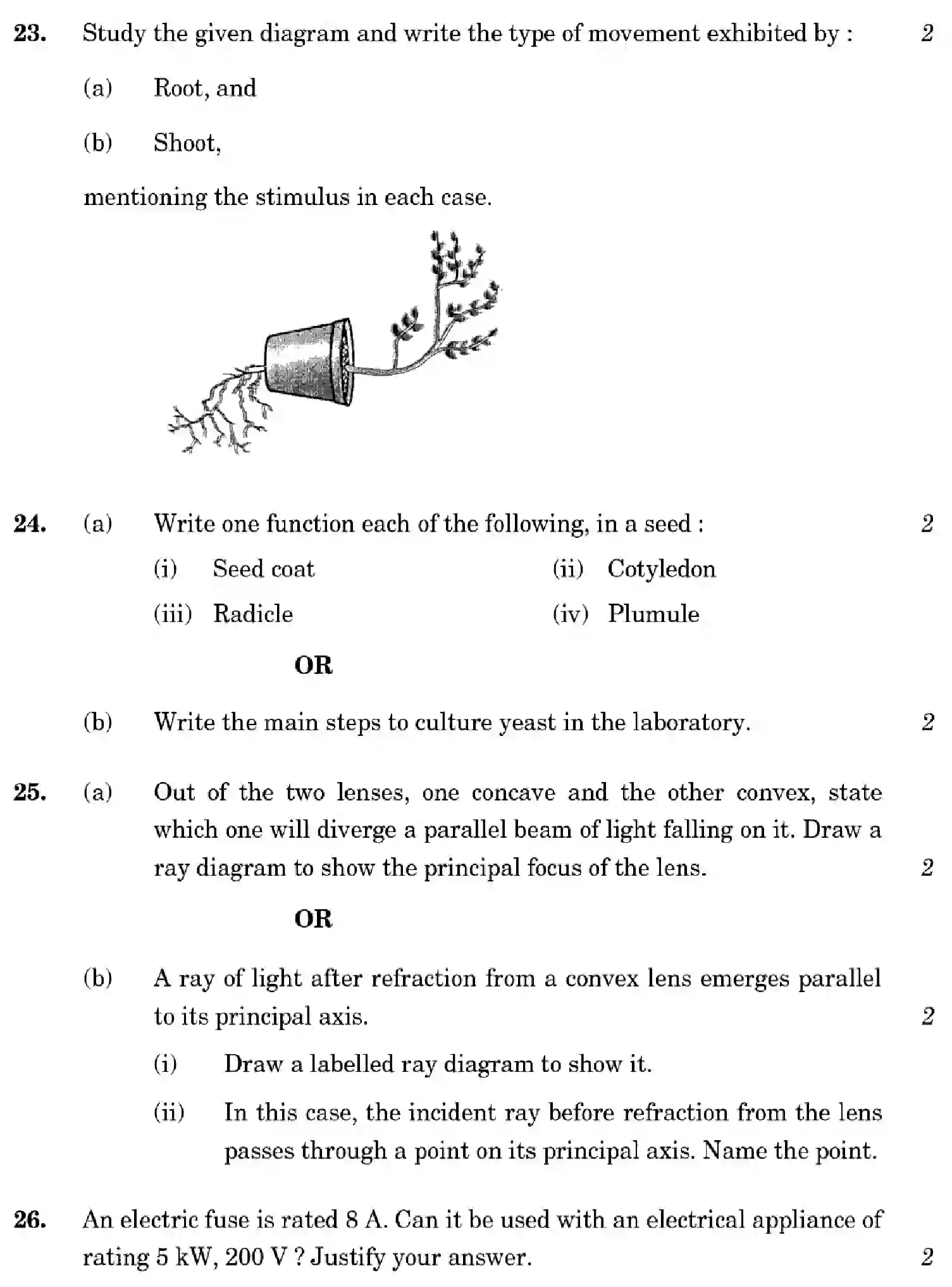 CBSE-Class-10-Previous-Year-Question-Papers-SCIENCE-GHF2E-SET-2-Page-13 Image