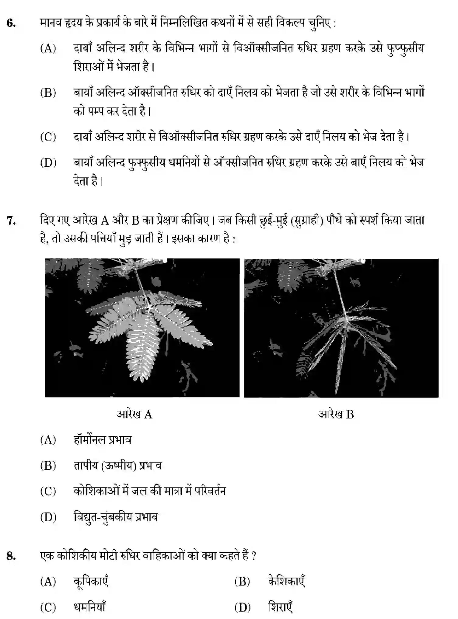 CBSE-Class-10-Previous-Year-Question-Papers-SCIENCE-GHF2E-SET-3-Page-6 Image