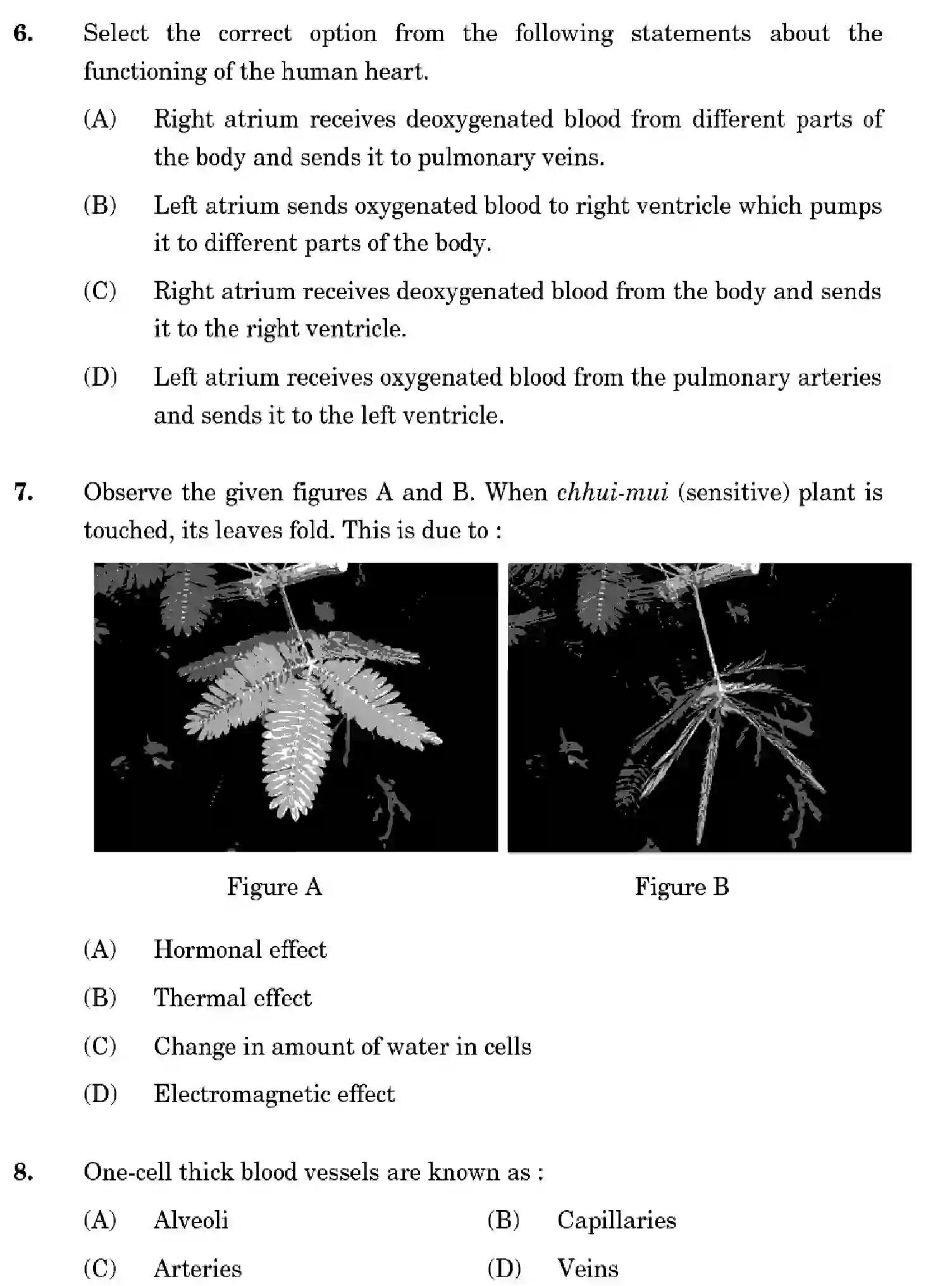 CBSE-Class-10-Previous-Year-Question-Papers-SCIENCE-GHF2E-SET-3-Page-7 Image