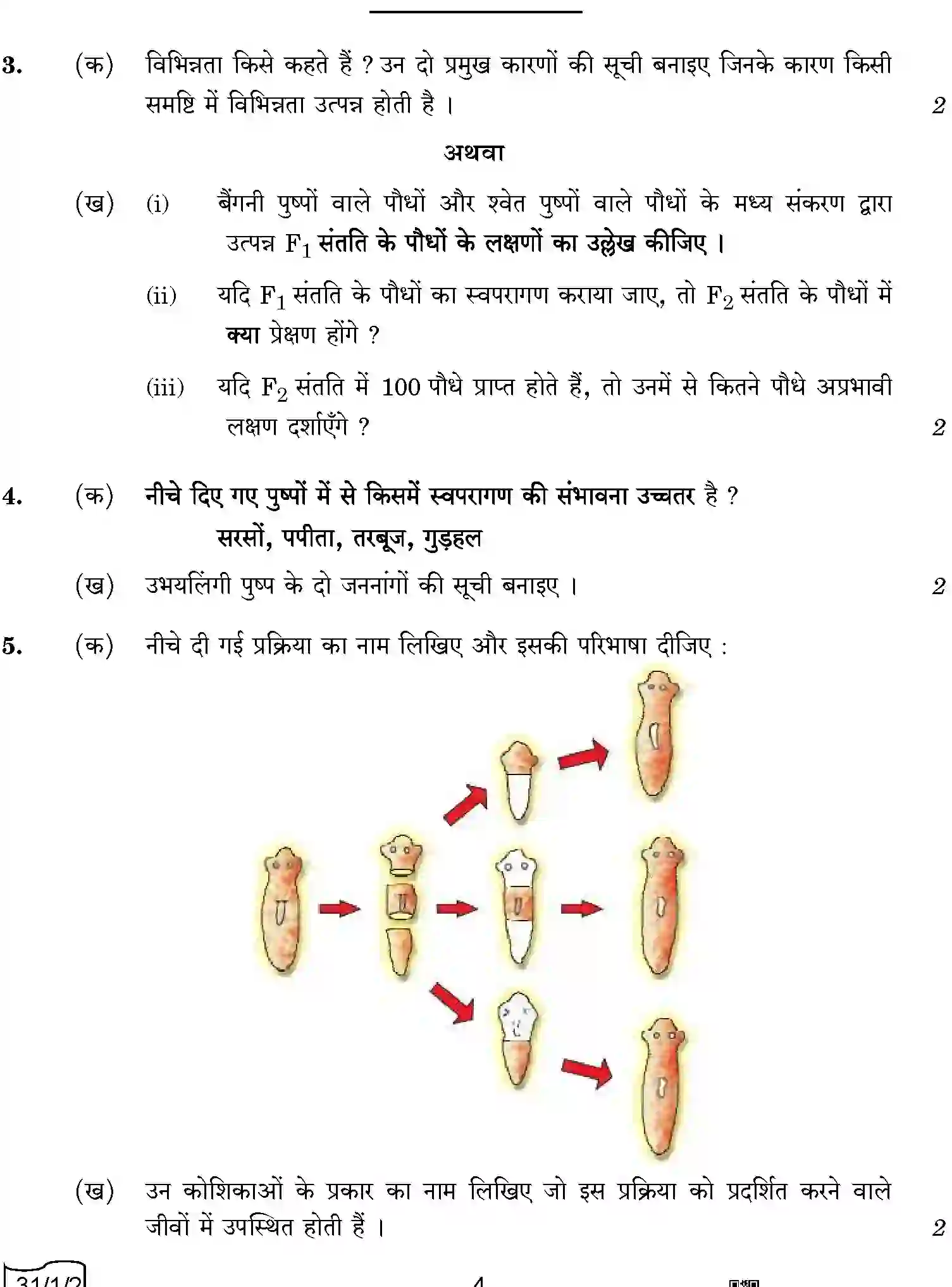 CBSE-Class-10-Previous-Year-Question-Papers-SCIENCE-QQARR-1-SET-2-Page-4 Image