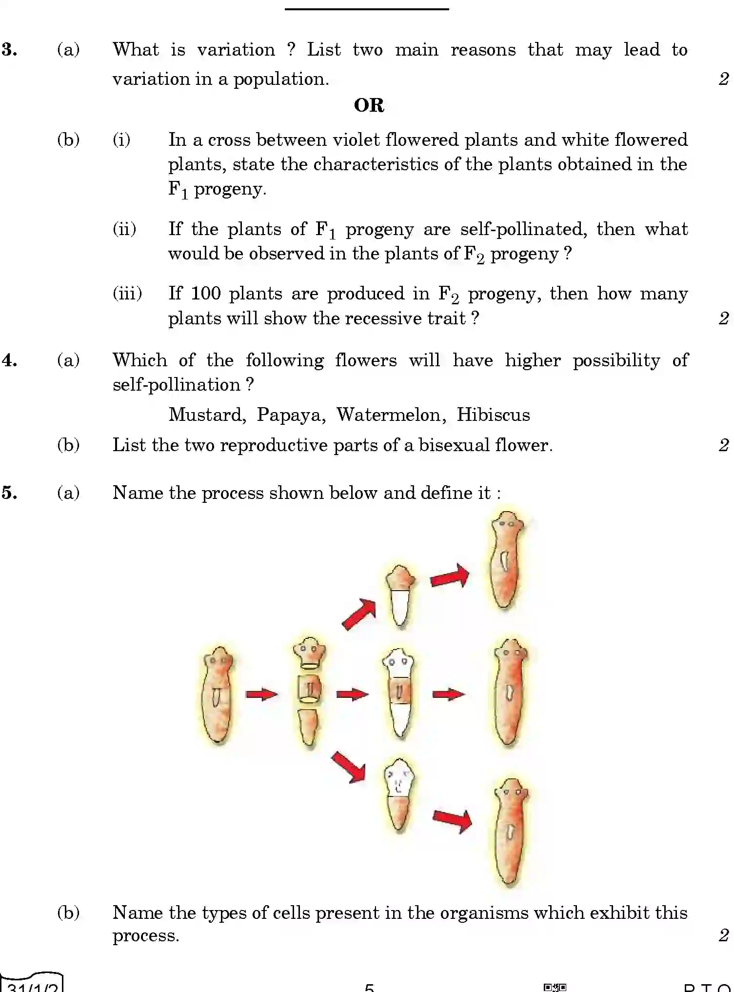 CBSE-Class-10-Previous-Year-Question-Papers-SCIENCE-QQARR-1-SET-2-Page-5 Image