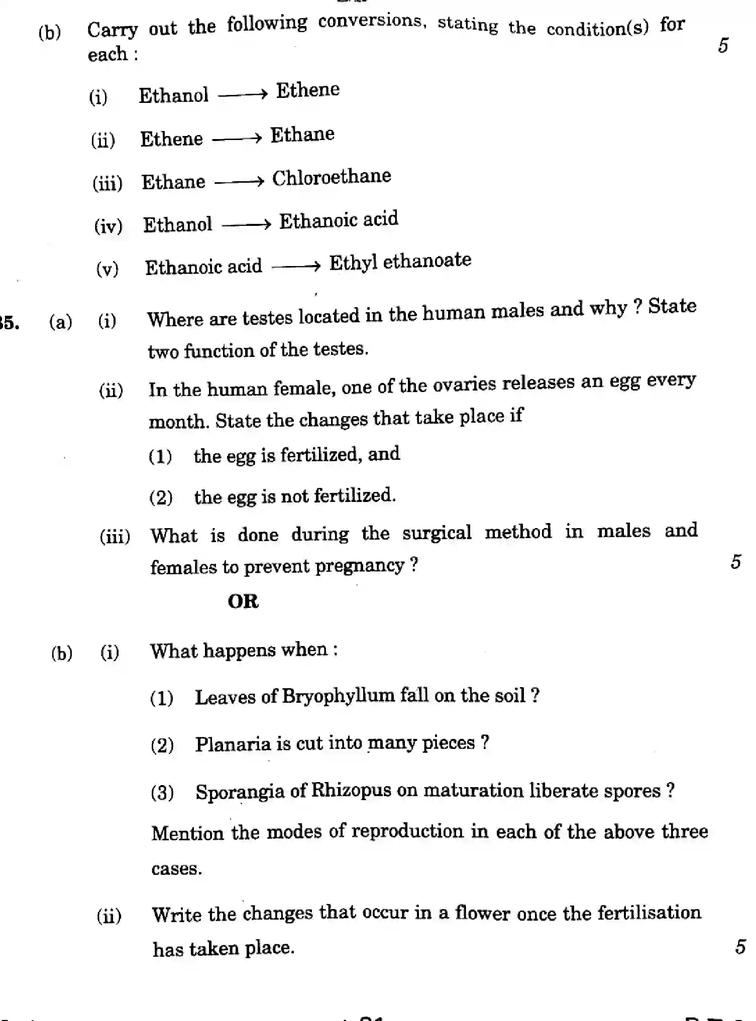 CBSE-Class-10-Previous-Year-Question-Papers-SCIENCE-Z1XYW-5-SET-1-Page-21 Image