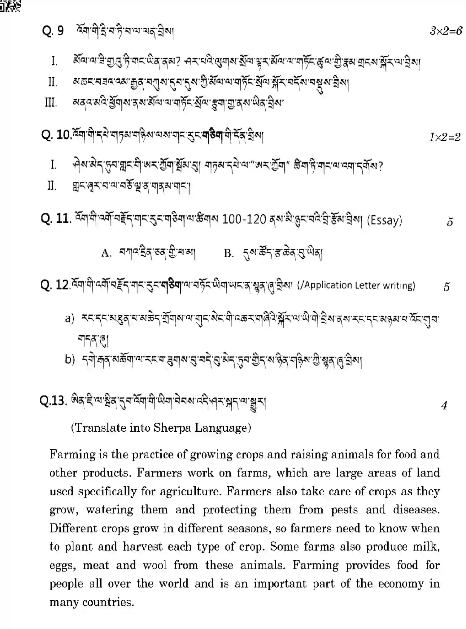 CBSE-Class-10-Previous-Year-Question-Papers-SHERPA-1EGFH-SET-4-Page-9 Image