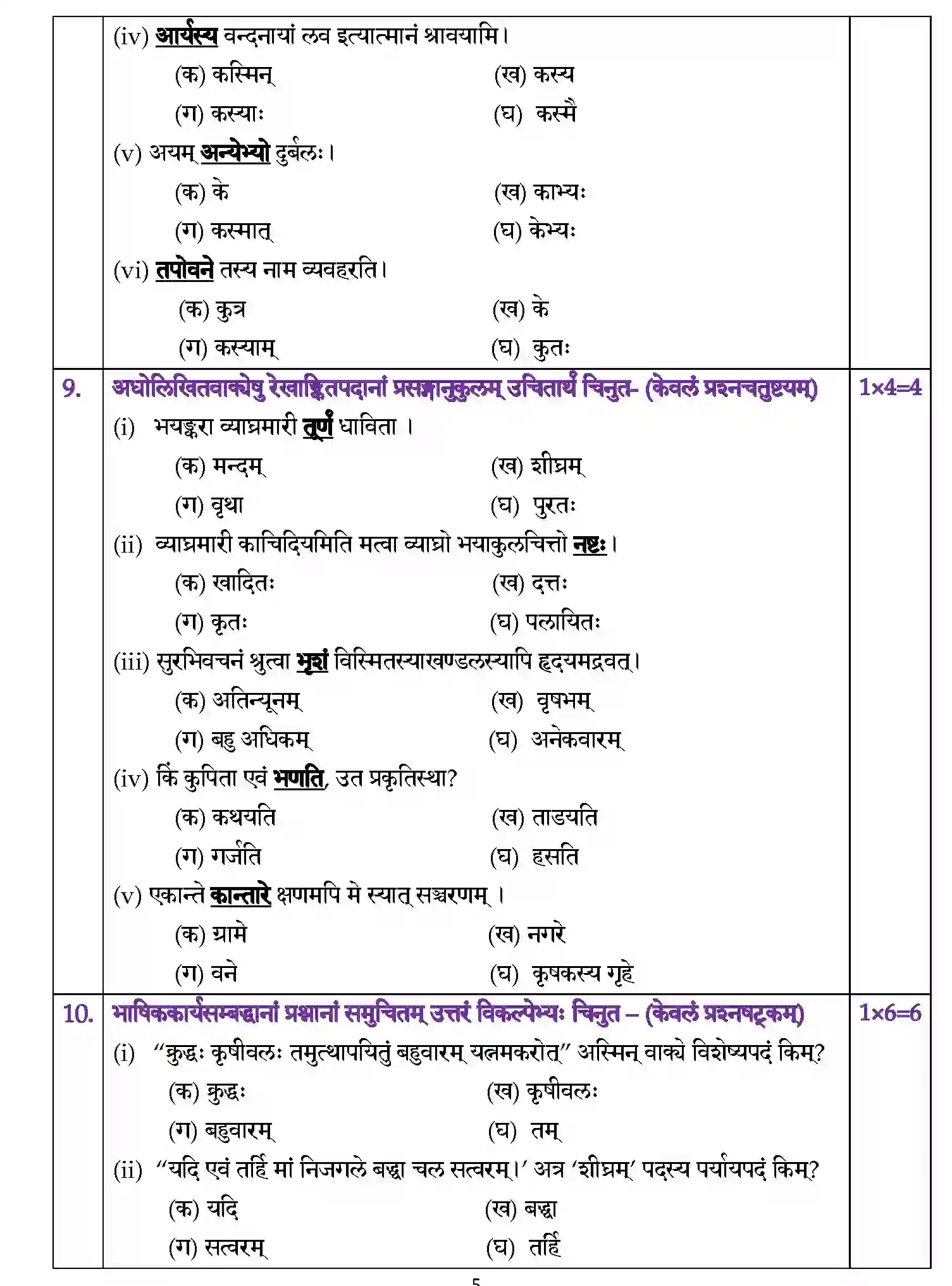 CBSE-Class-10-Previous-Year-Question-Papers-SQP-TERM-1-SANSKRIT-Page-5 Image
