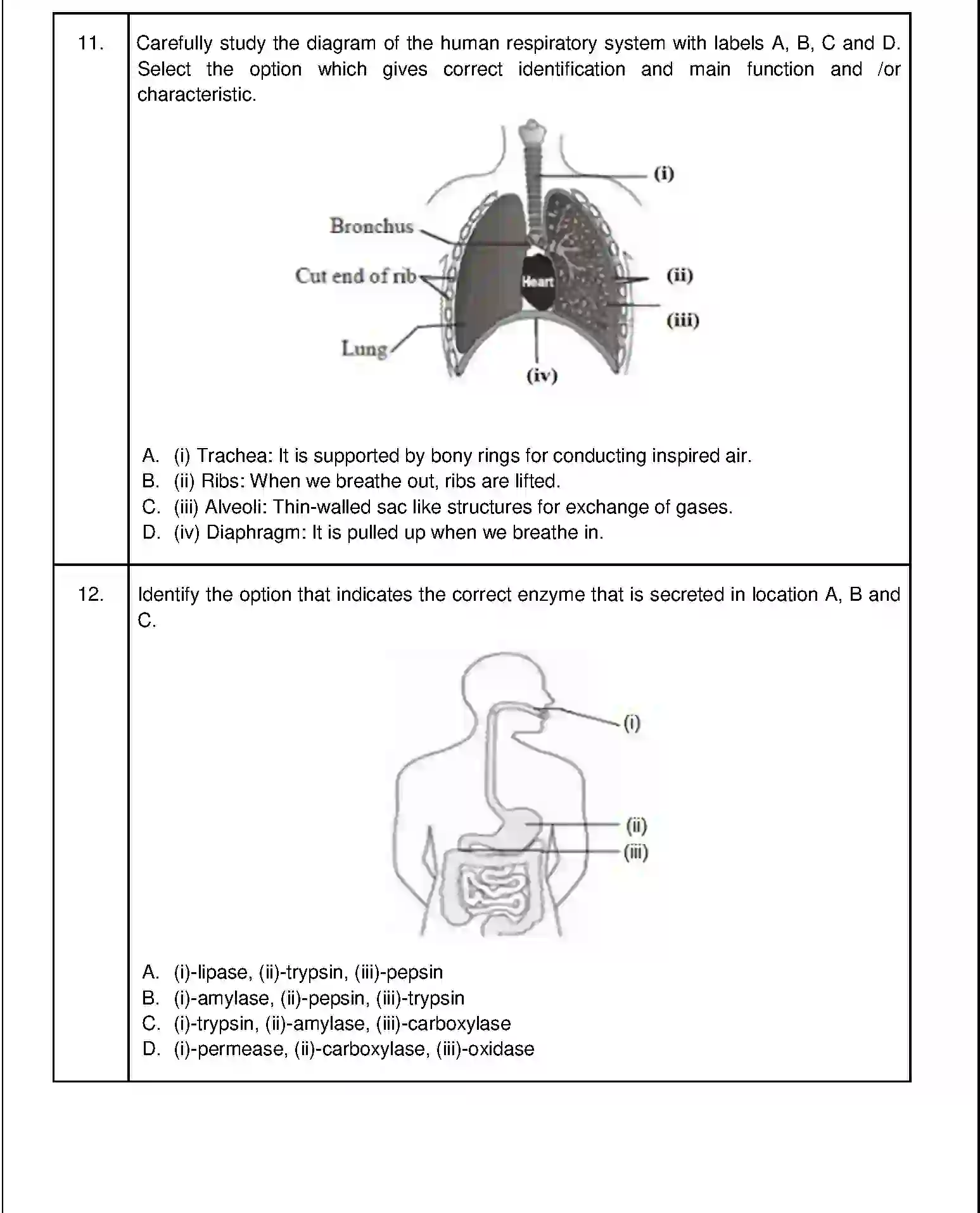 CBSE-Class-10-Previous-Year-Question-Papers-SQP-TERM-1-SCIENCE-Page-4 Image