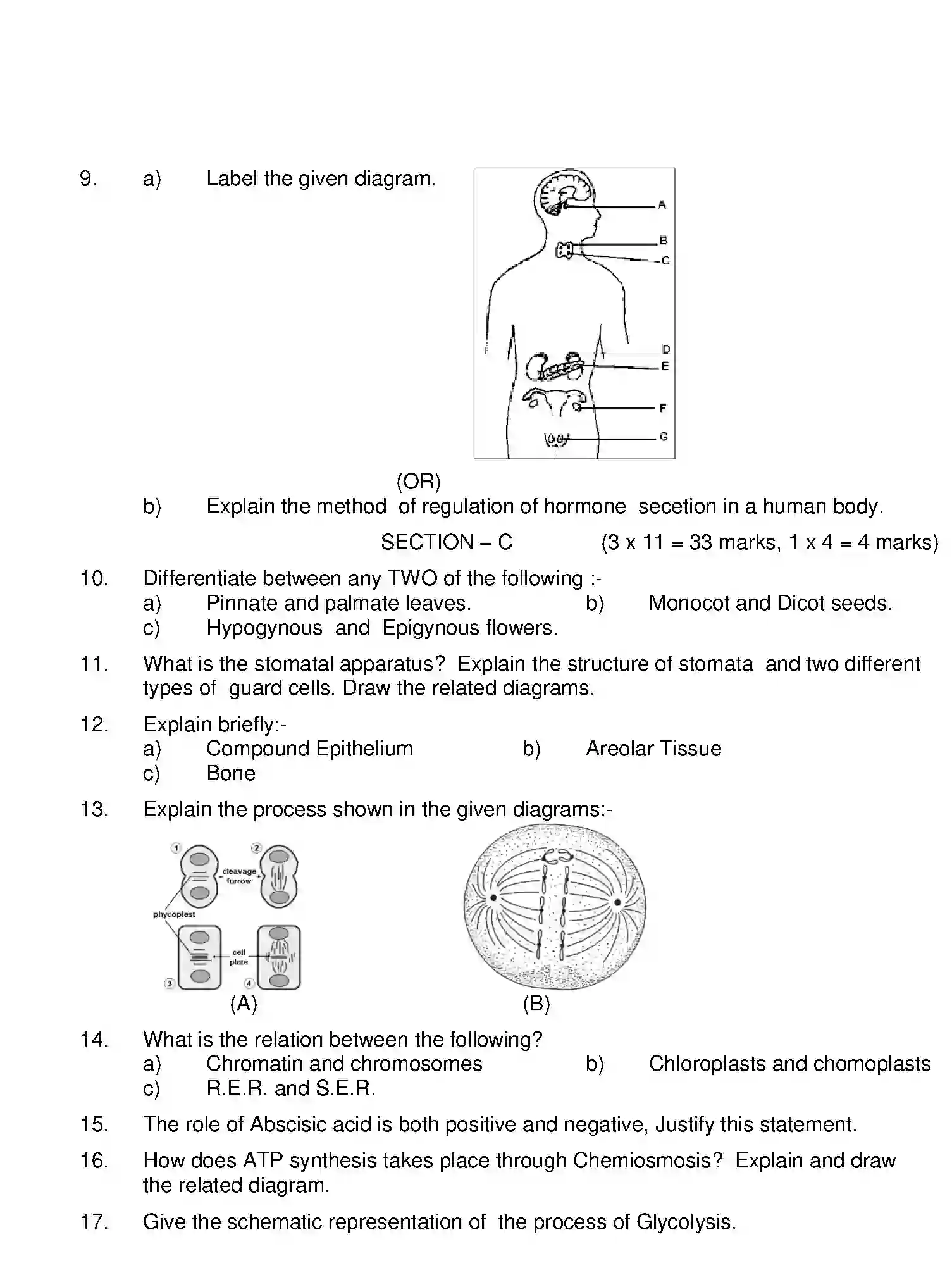 CBSE-Class-11-Previous-Year-Question-Papers-BIOLOGY-Page-2 Image